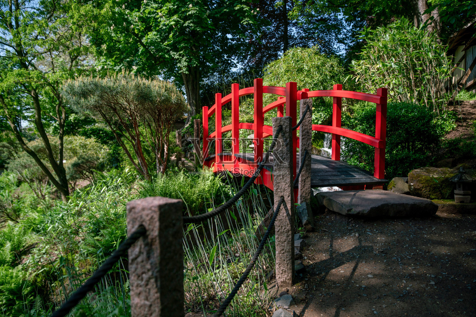 日本凯泽斯劳滕花园里的杜鹃花照片摄影图片