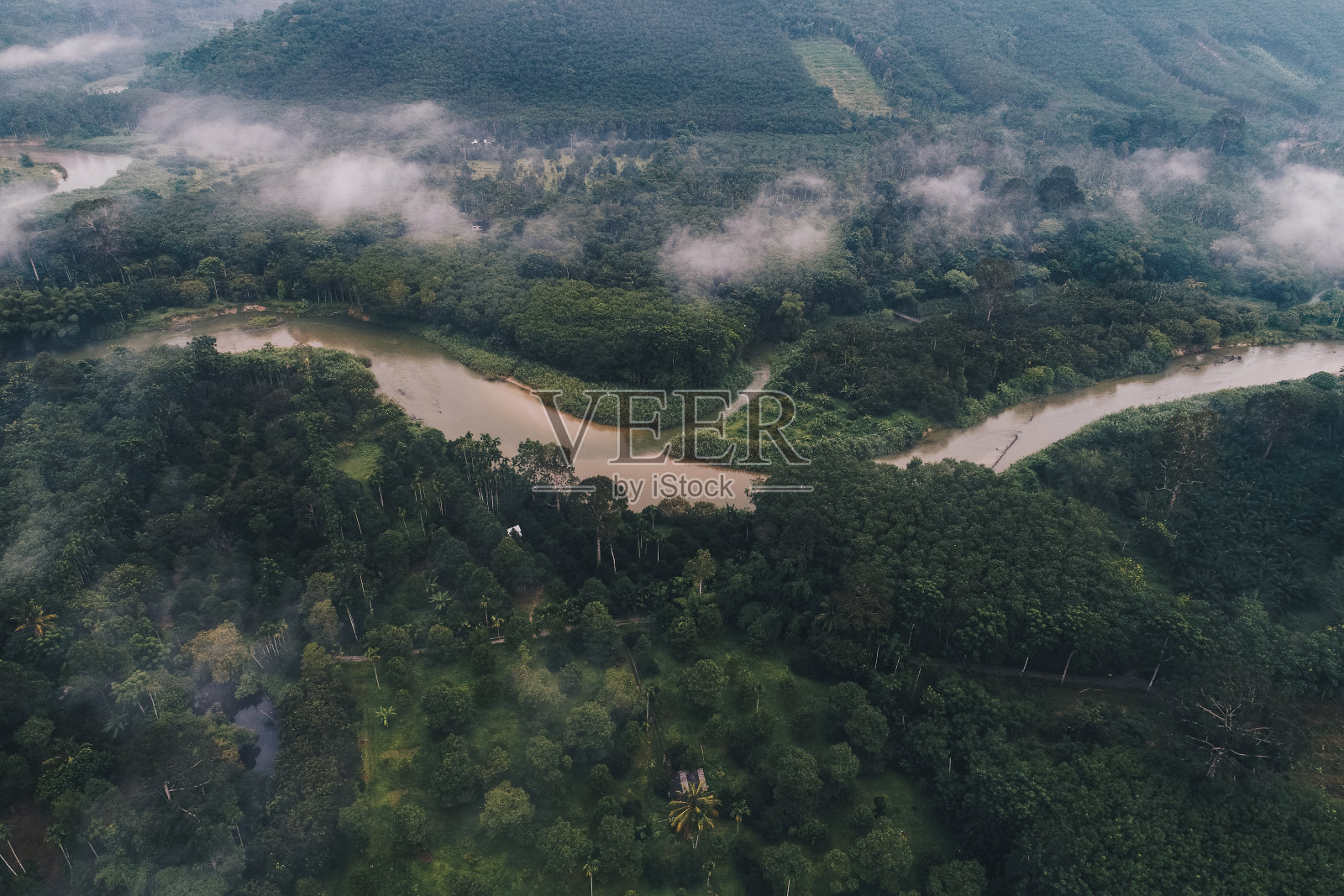 鸟瞰图运河河在热带雨林与晨雾照片摄影图片