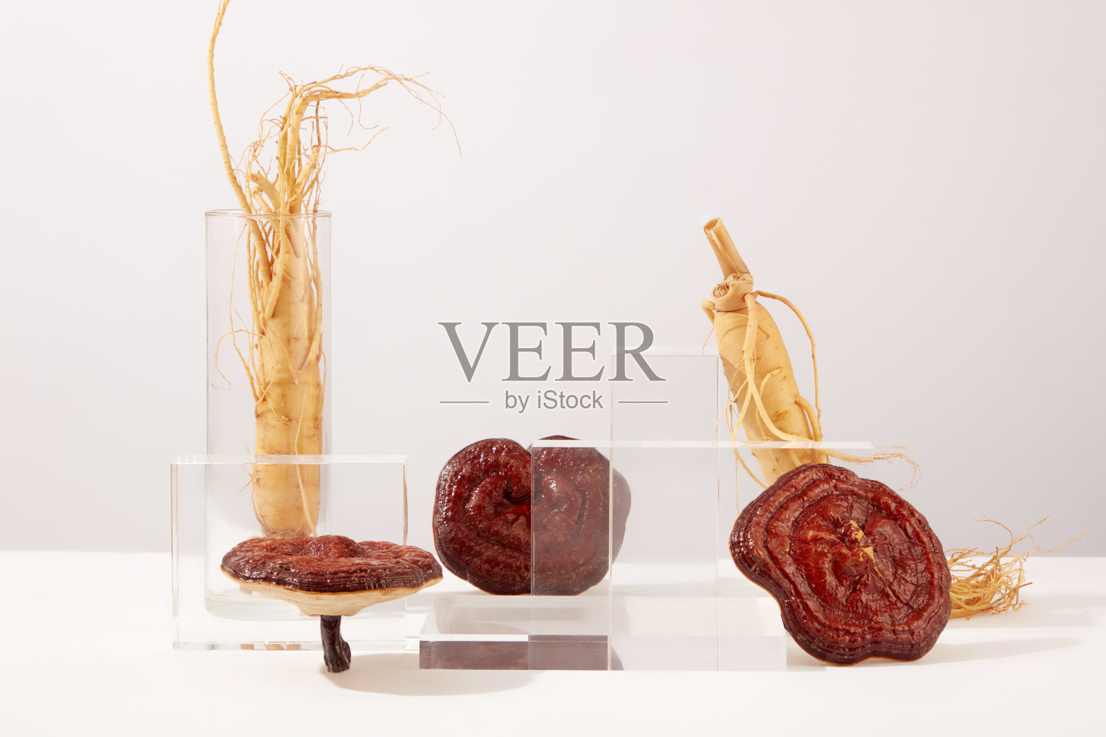 灵芝人参照片摄影图片