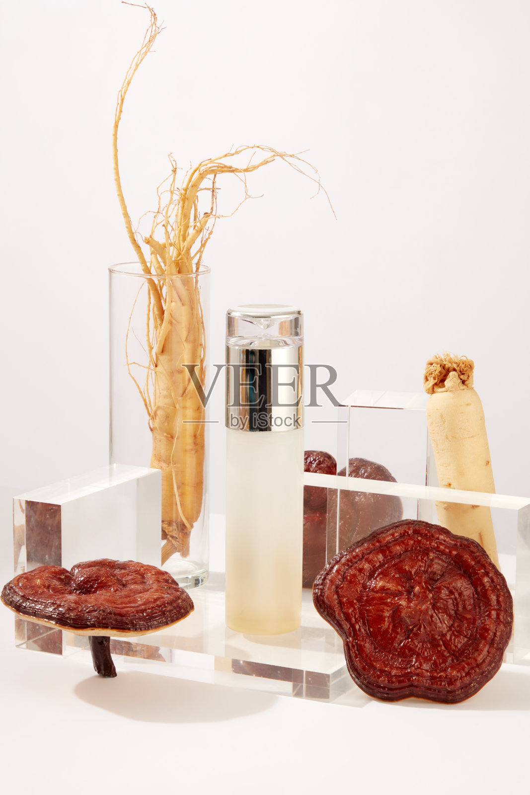 灵芝人参照片摄影图片