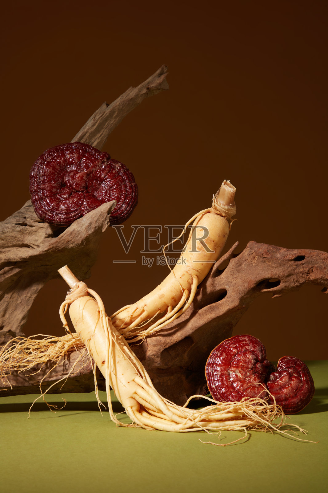 灵芝人参照片摄影图片