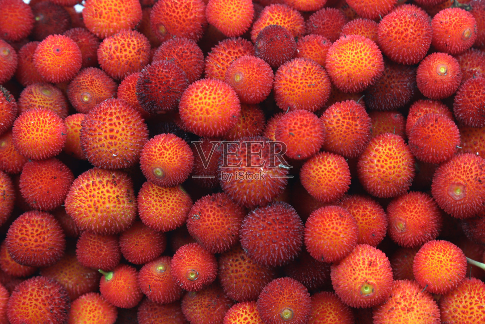 草莓树植物的果实在透明托盘照片摄影图片