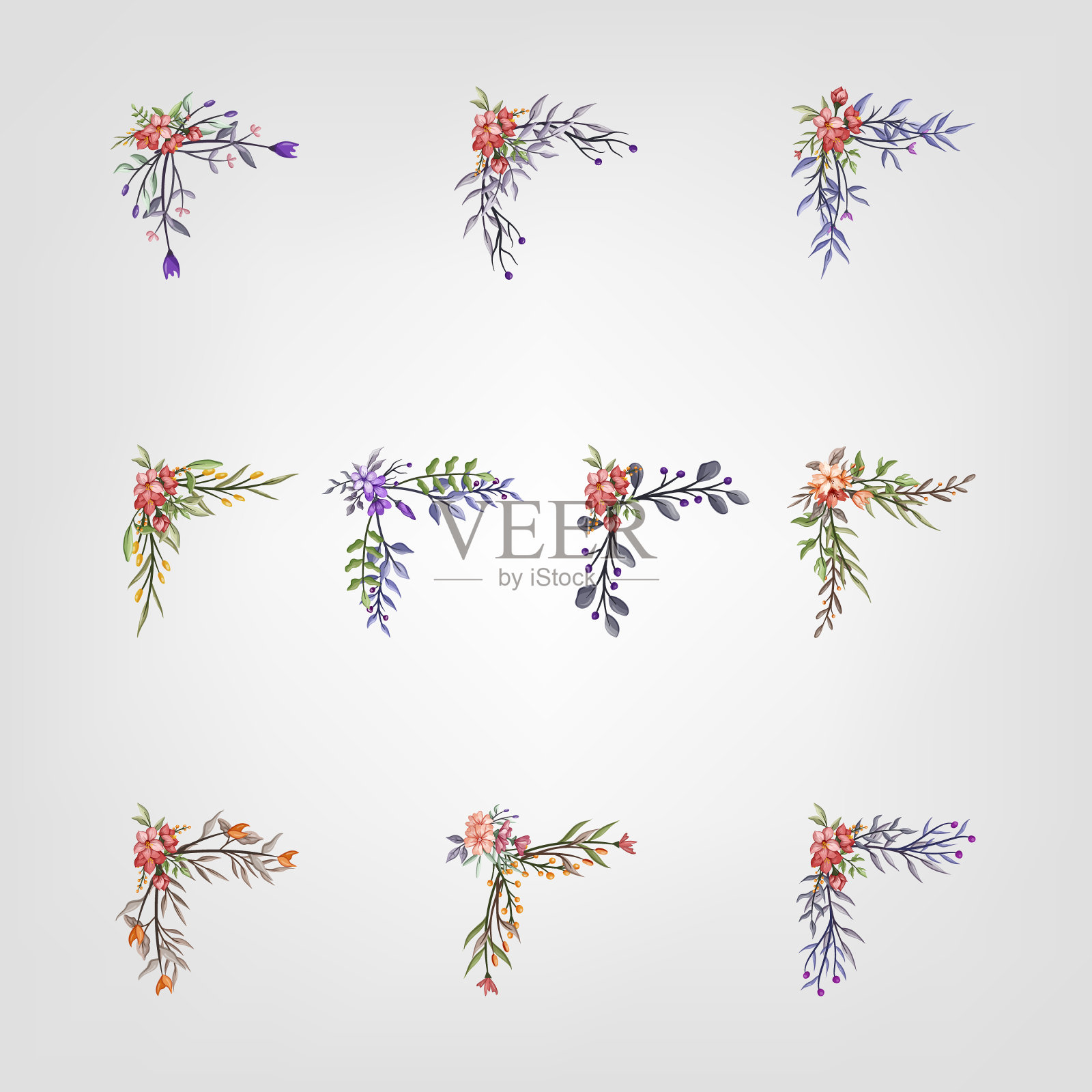 设置植物开花花卉元素。开花植物插画图片素材