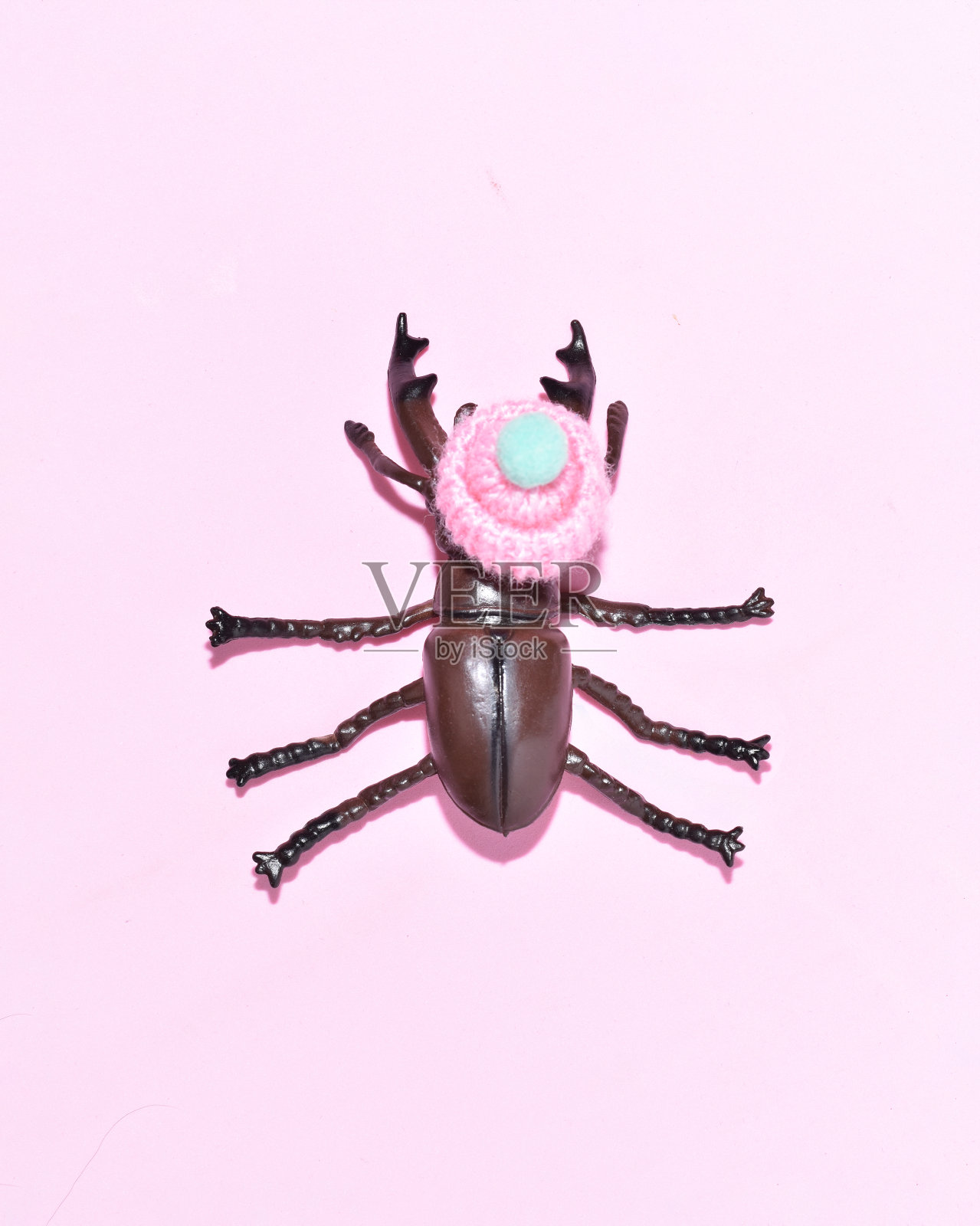 戴着帽子的虫子照片摄影图片