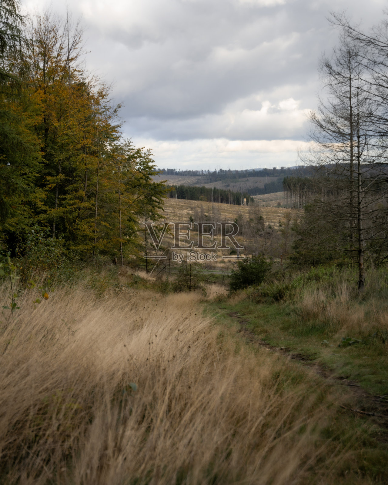 Lörmecke在多云的秋日Tal照片摄影图片