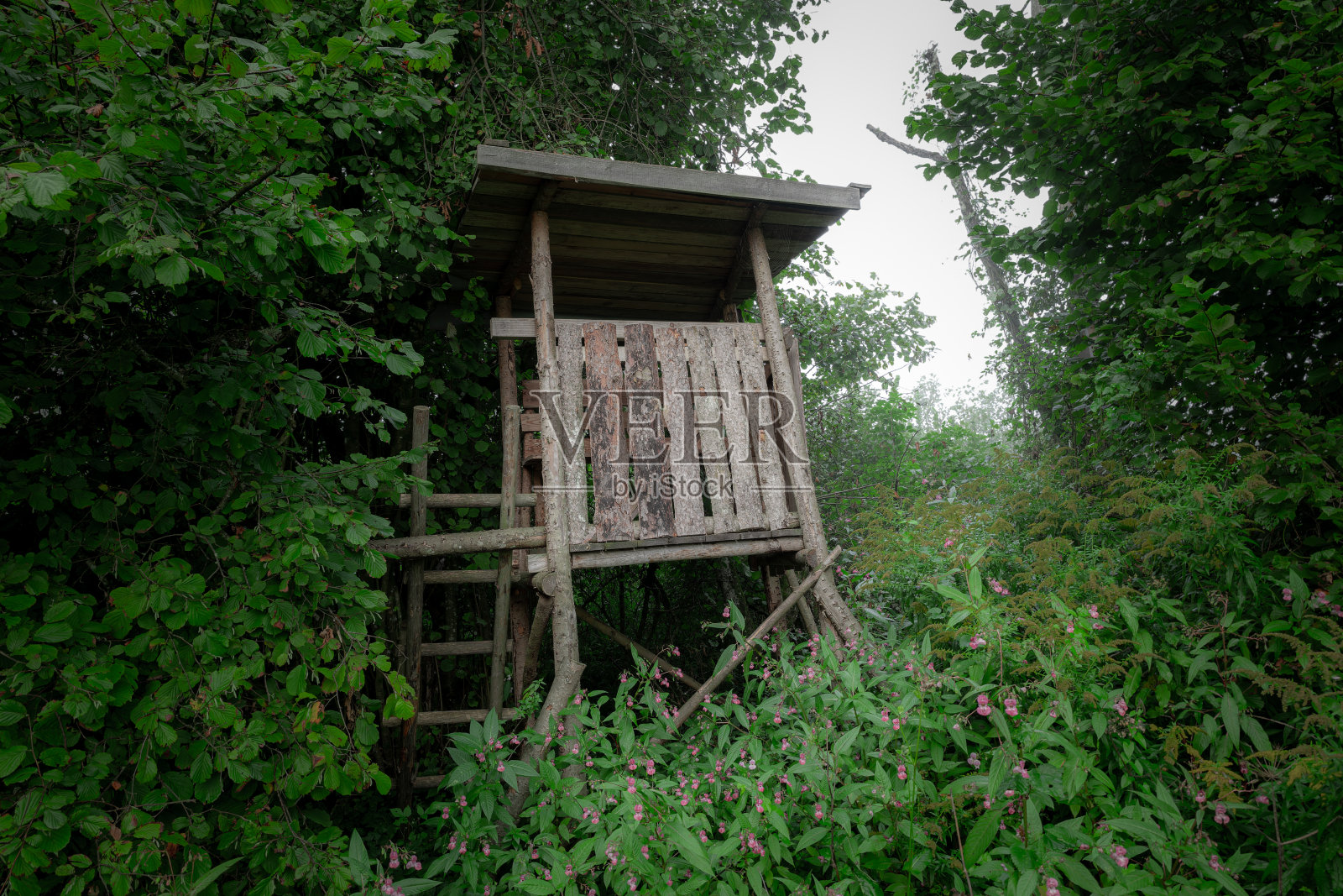 木制猎皮照片摄影图片