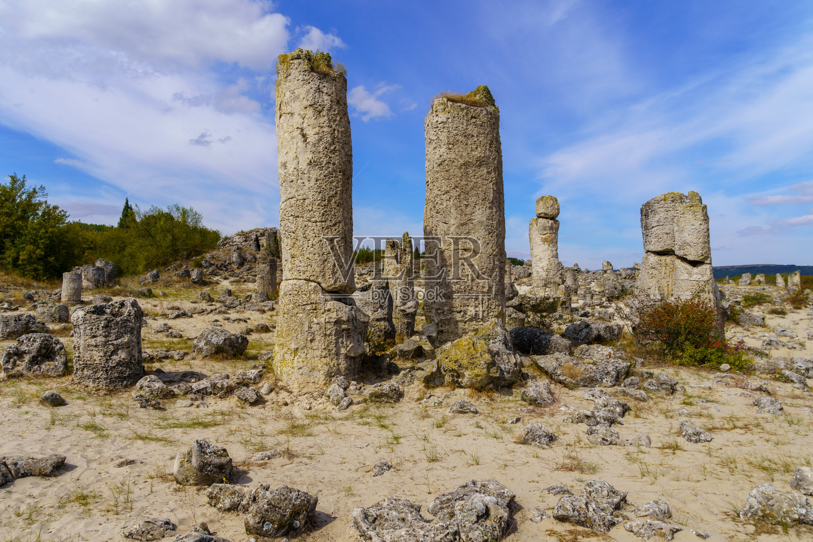 碳酸盐卡玛尼岩层(石林)照片摄影图片