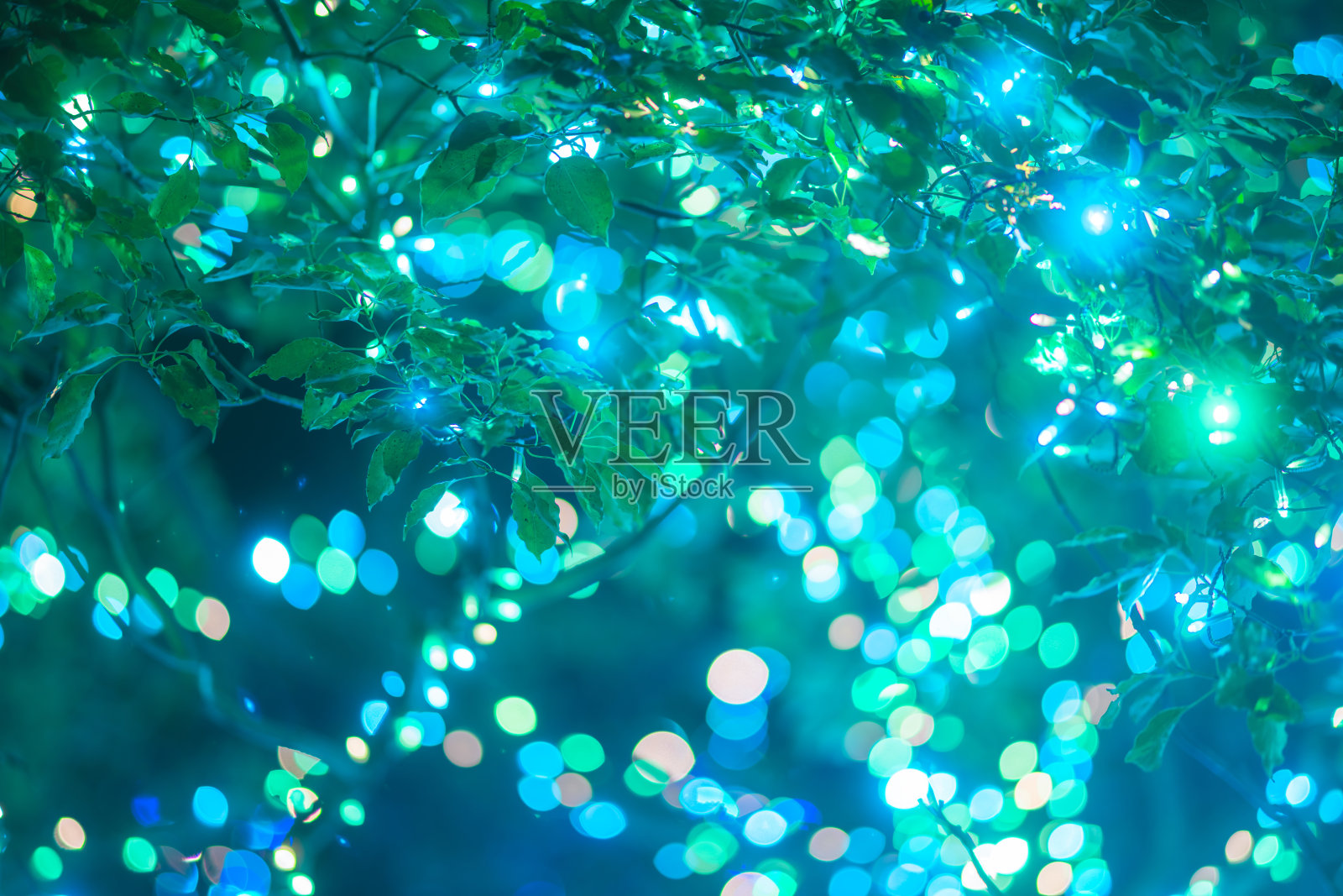 六本木的圣诞装饰品和灯饰照片摄影图片