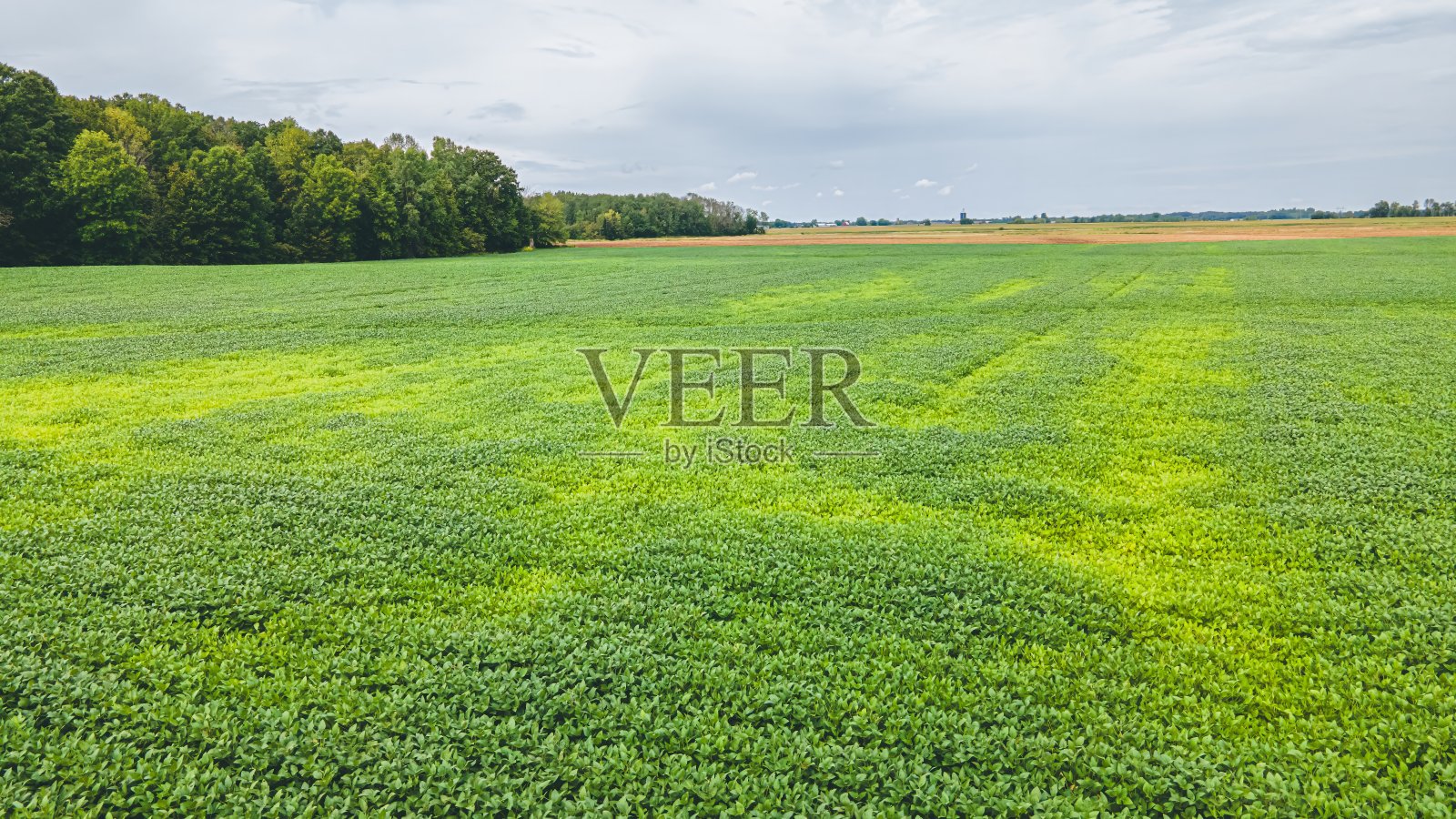 威斯康星州夏日的阴天照片摄影图片