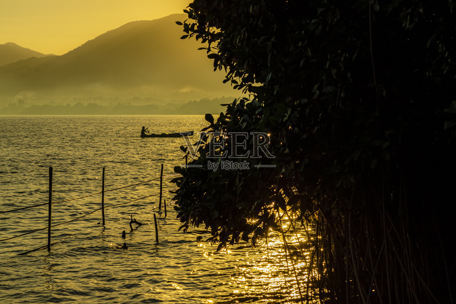日出时的红树林岸边和一个渔夫照片摄影图片