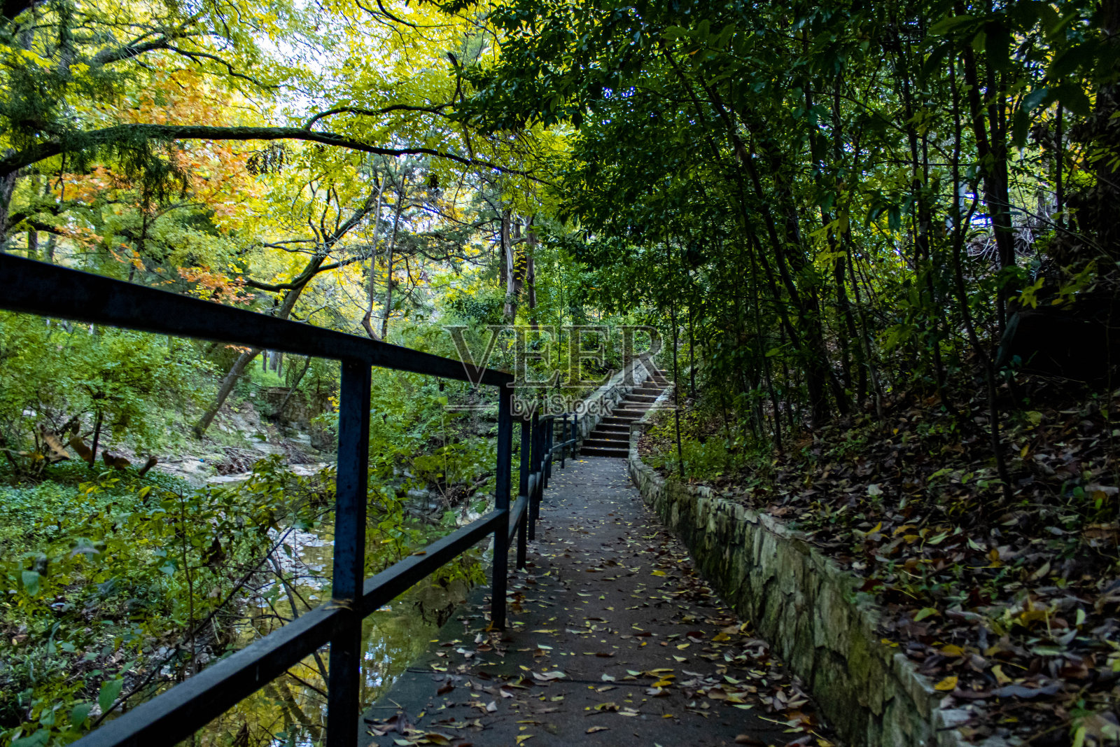 Camino en el parque照片摄影图片