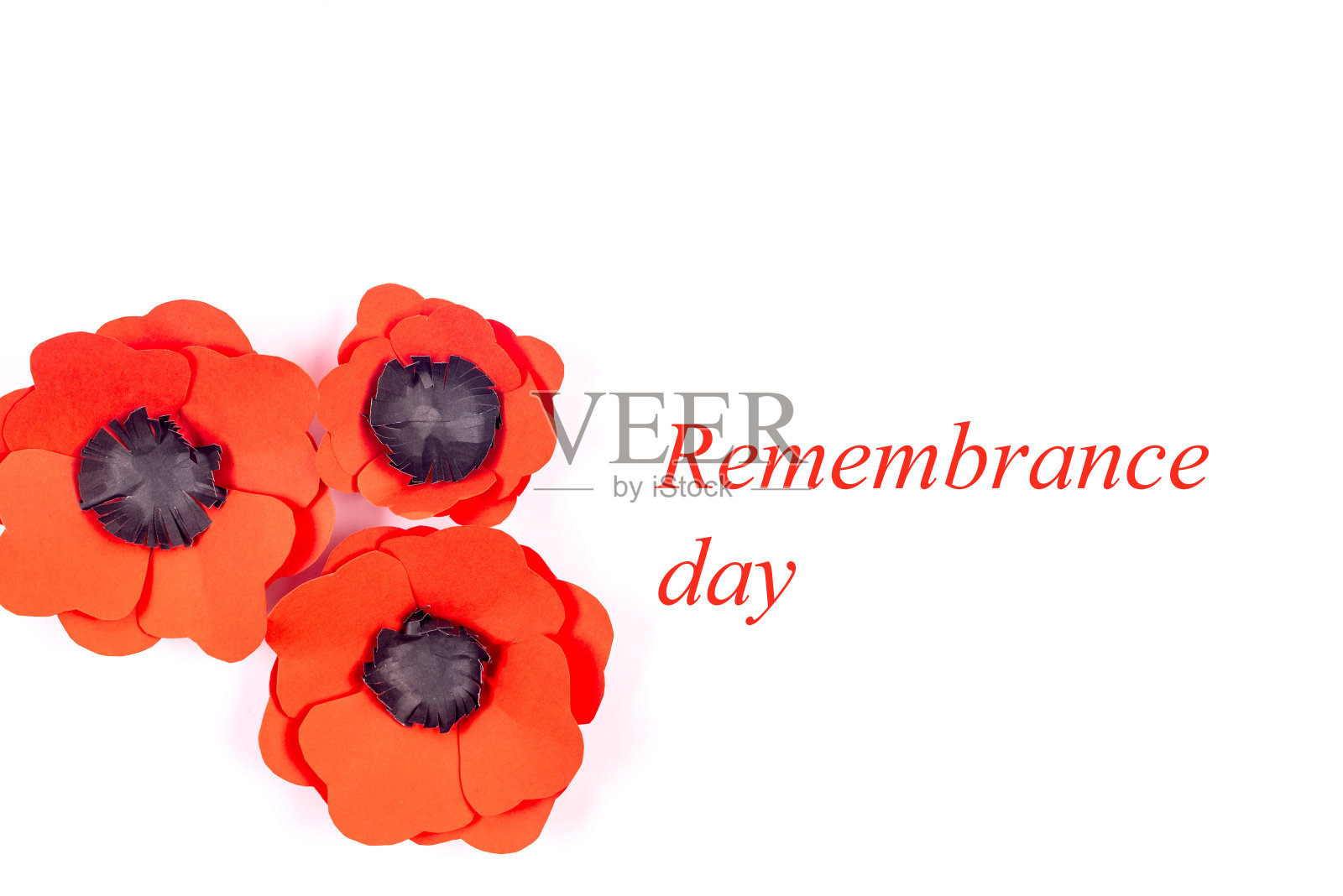 荣军纪念日照片摄影图片