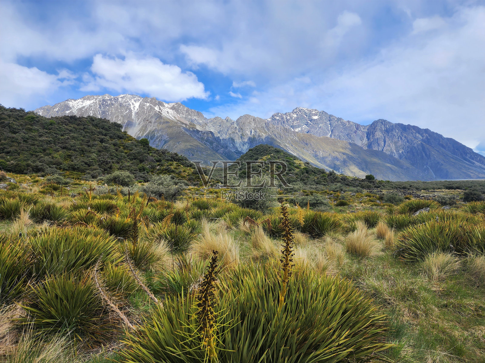 库克山奥拉基国家公园-新西兰南岛照片摄影图片