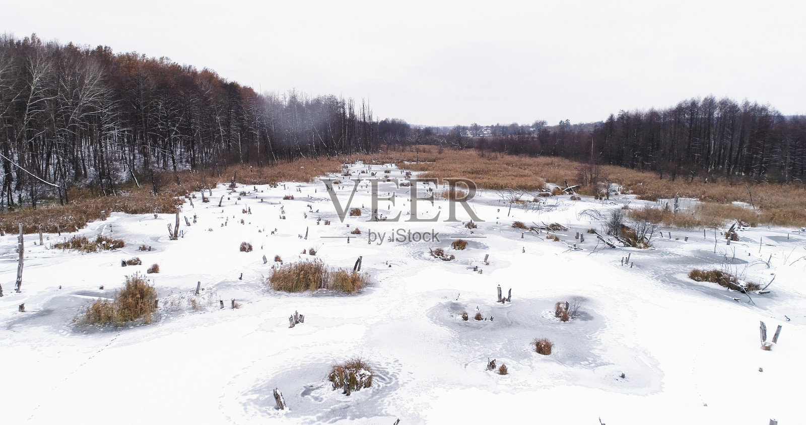冬季湖泊航拍降雪景观雪林照片摄影图片