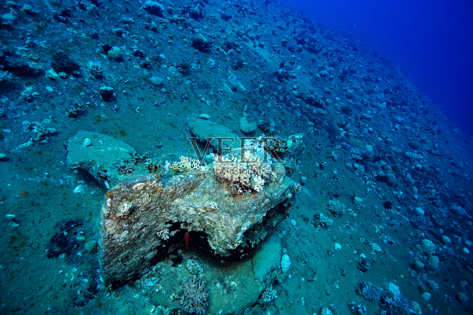 塞勒姆快速号的残骸照片摄影图片