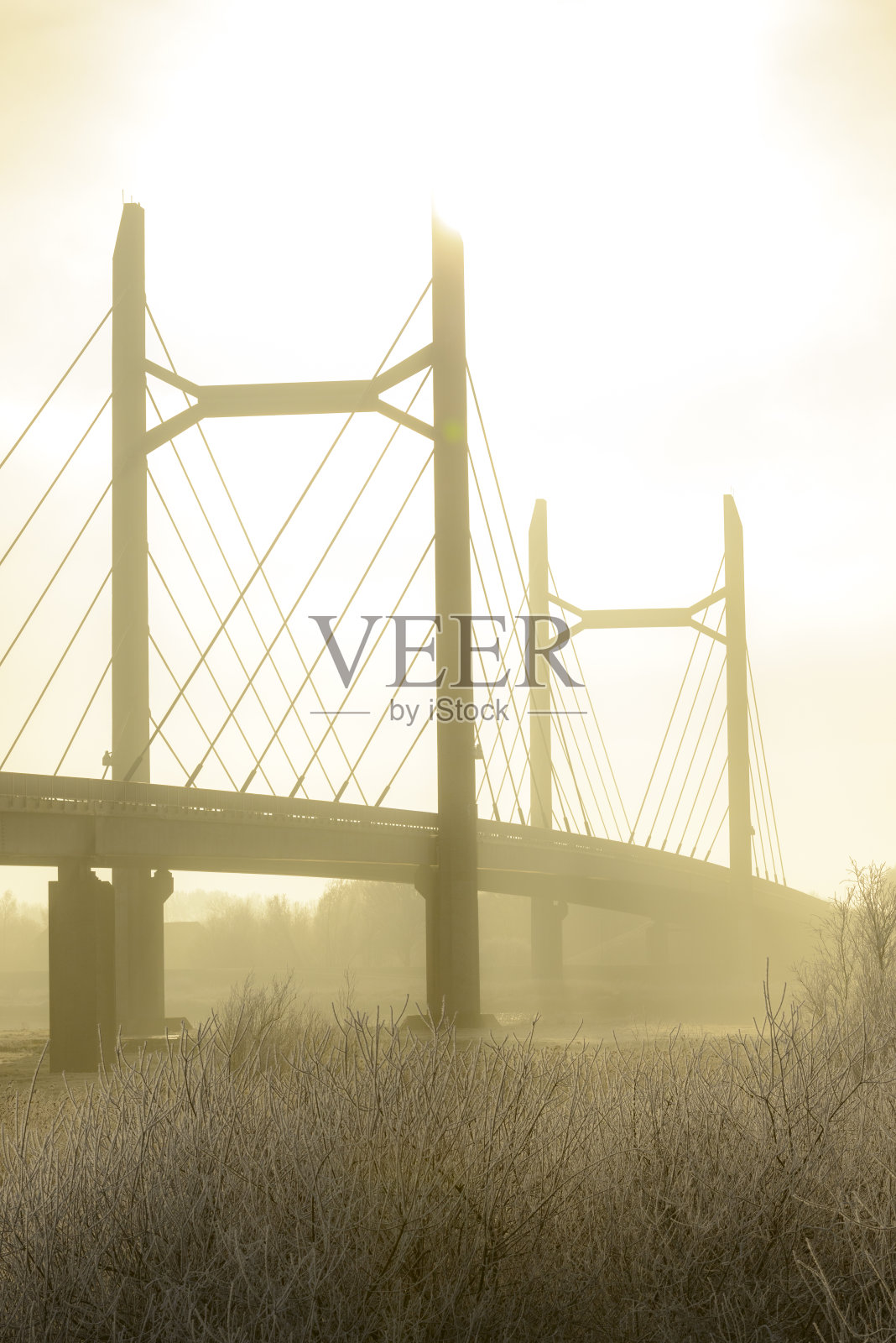 荷兰坎彭的莫伦布鲁格冬季景观。照片摄影图片