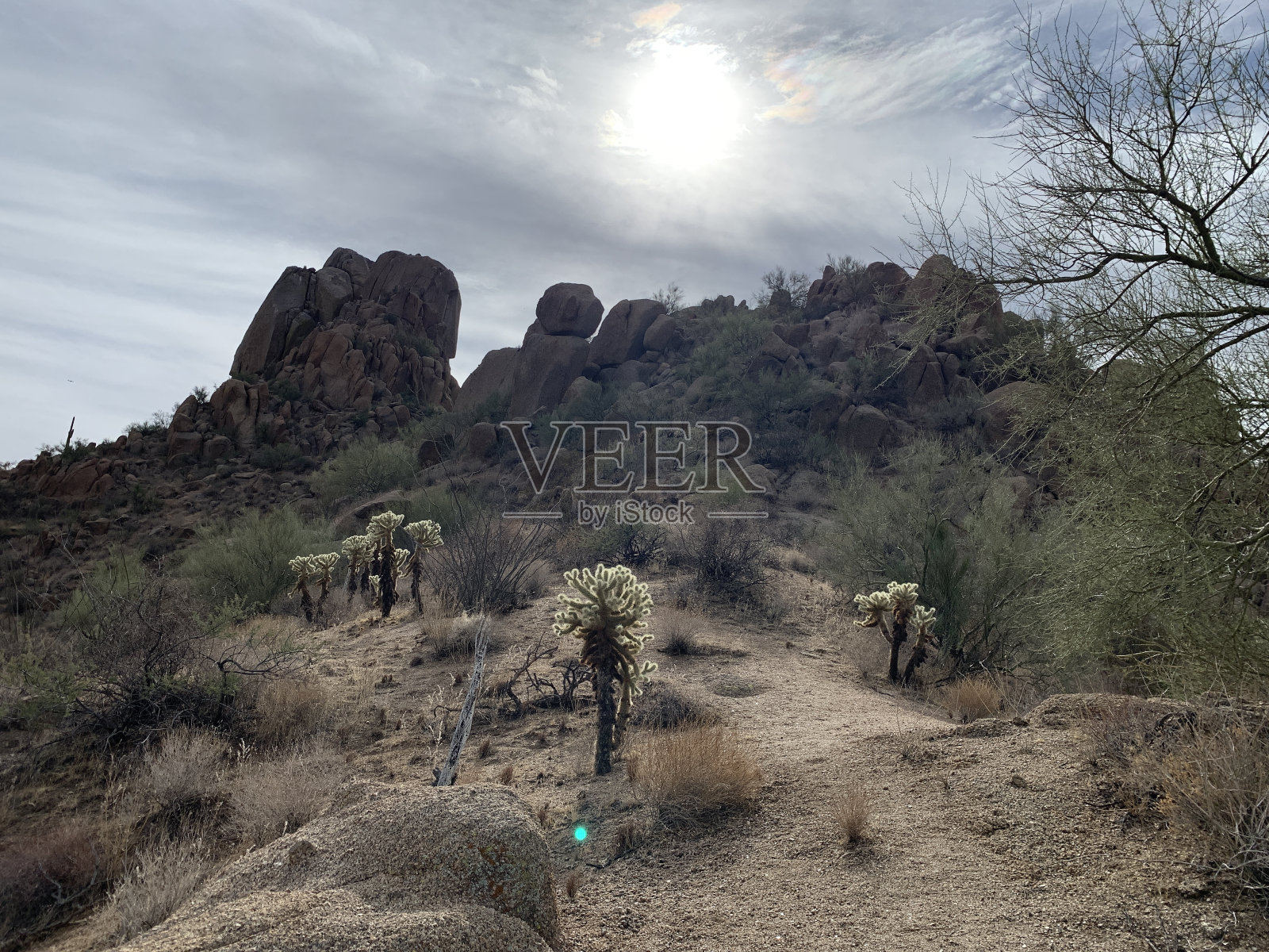 亚利桑那沙漠照片摄影图片