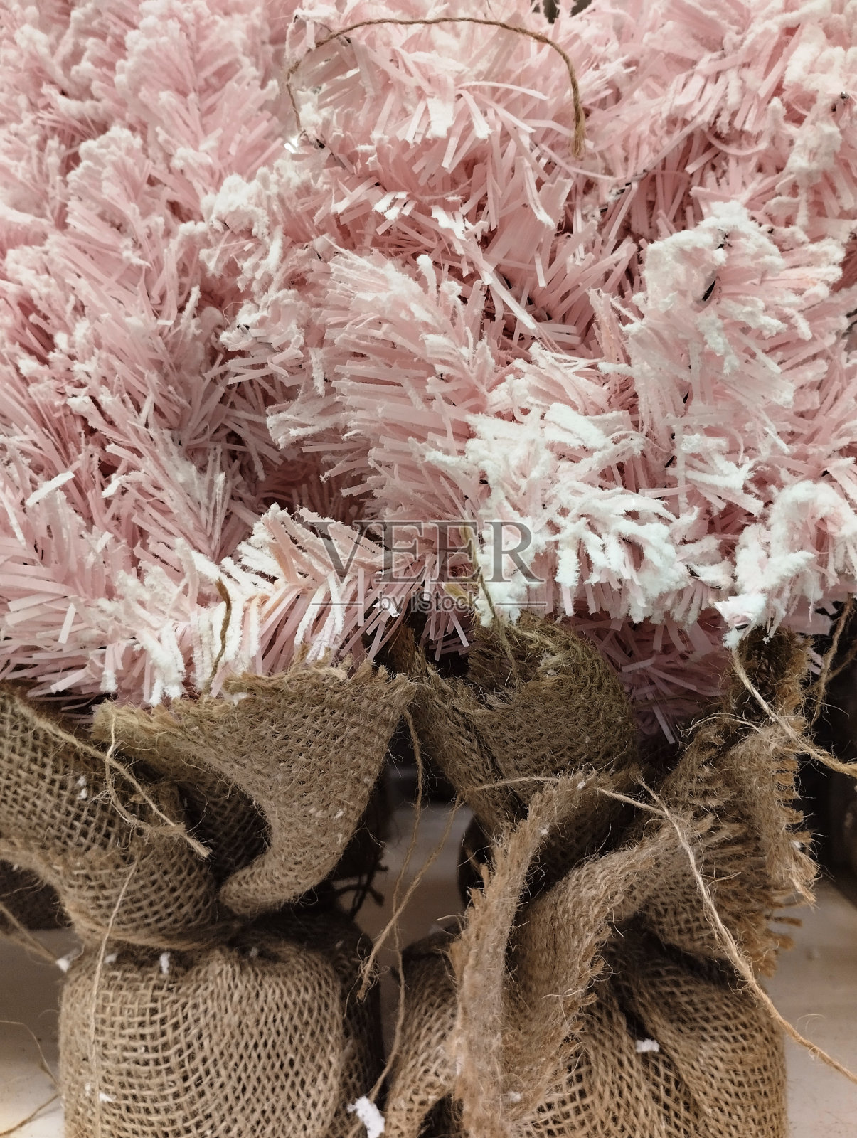 圣诞树的树枝照片摄影图片