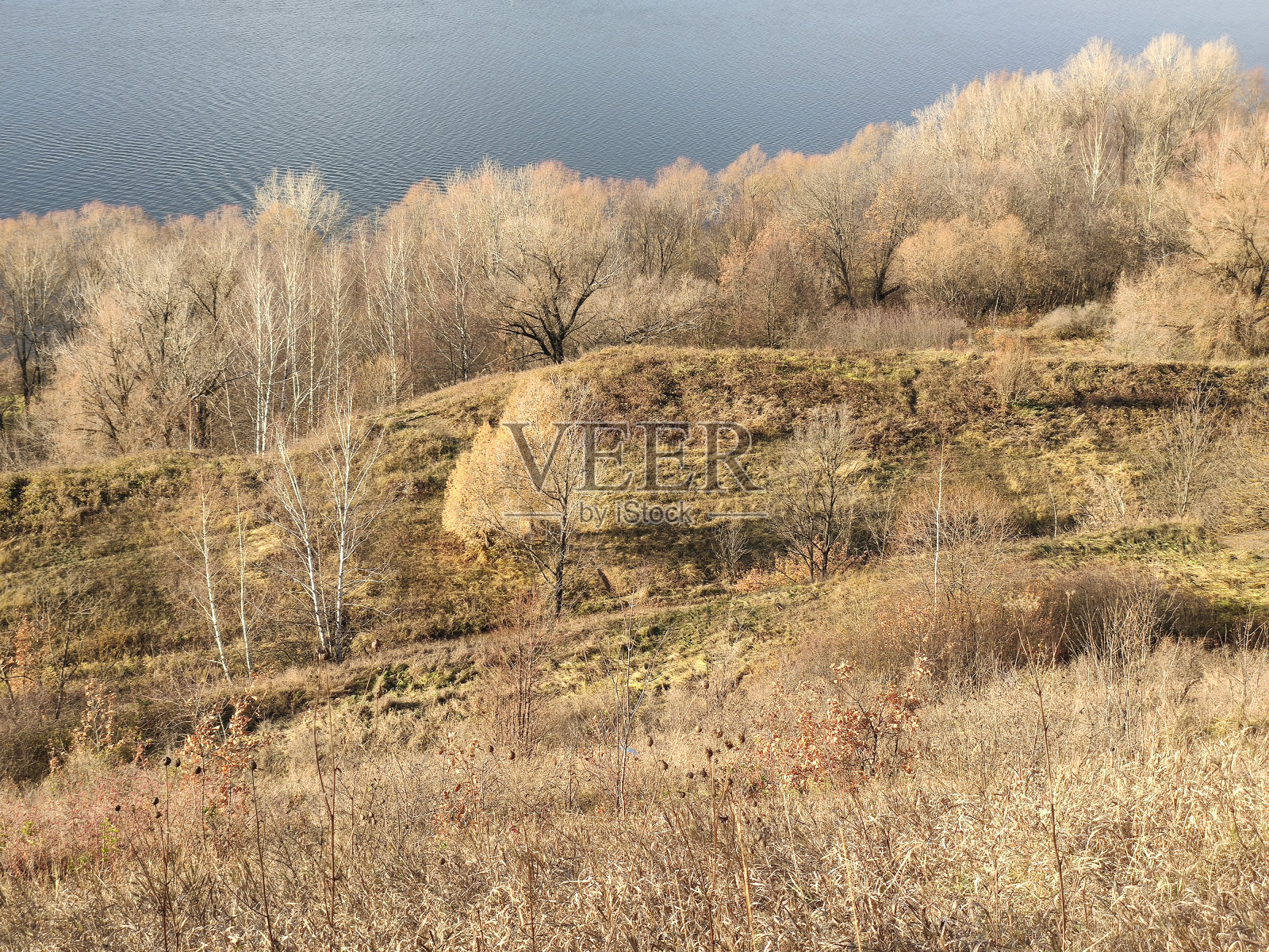 公园里一个温暖的秋日照片摄影图片