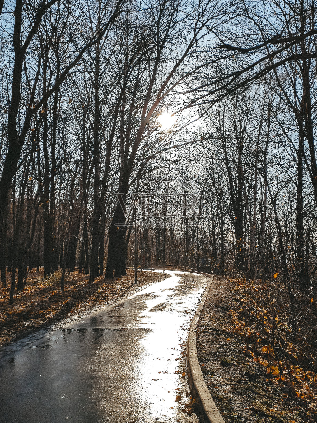 公园里一个温暖的秋日照片摄影图片