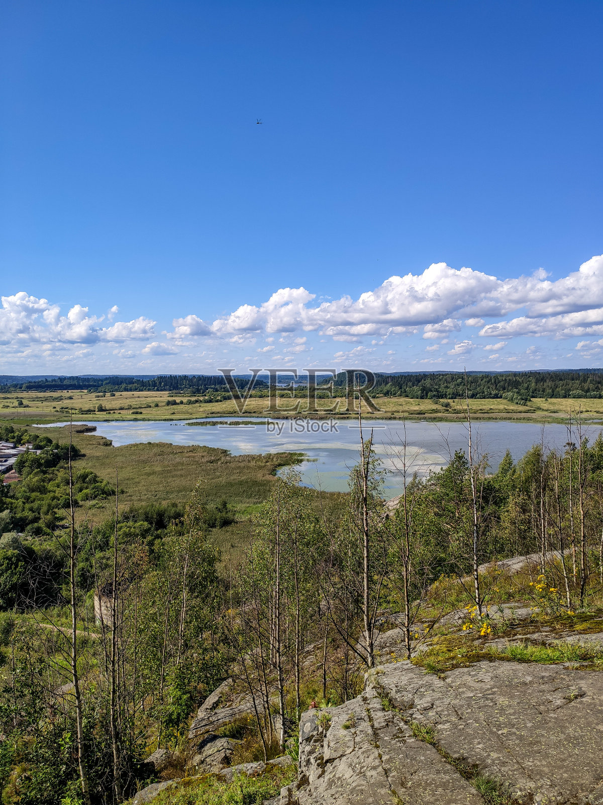 夏季拉多加湖的景色照片摄影图片