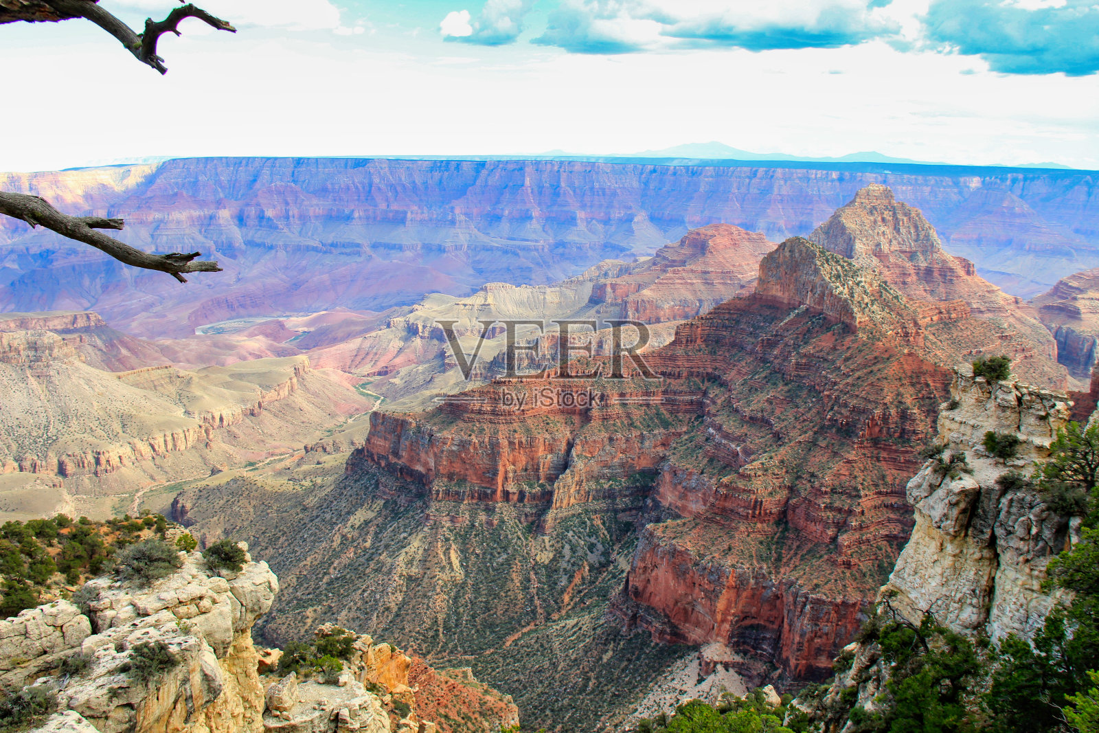 峡谷和科罗拉多河的全景照片摄影图片