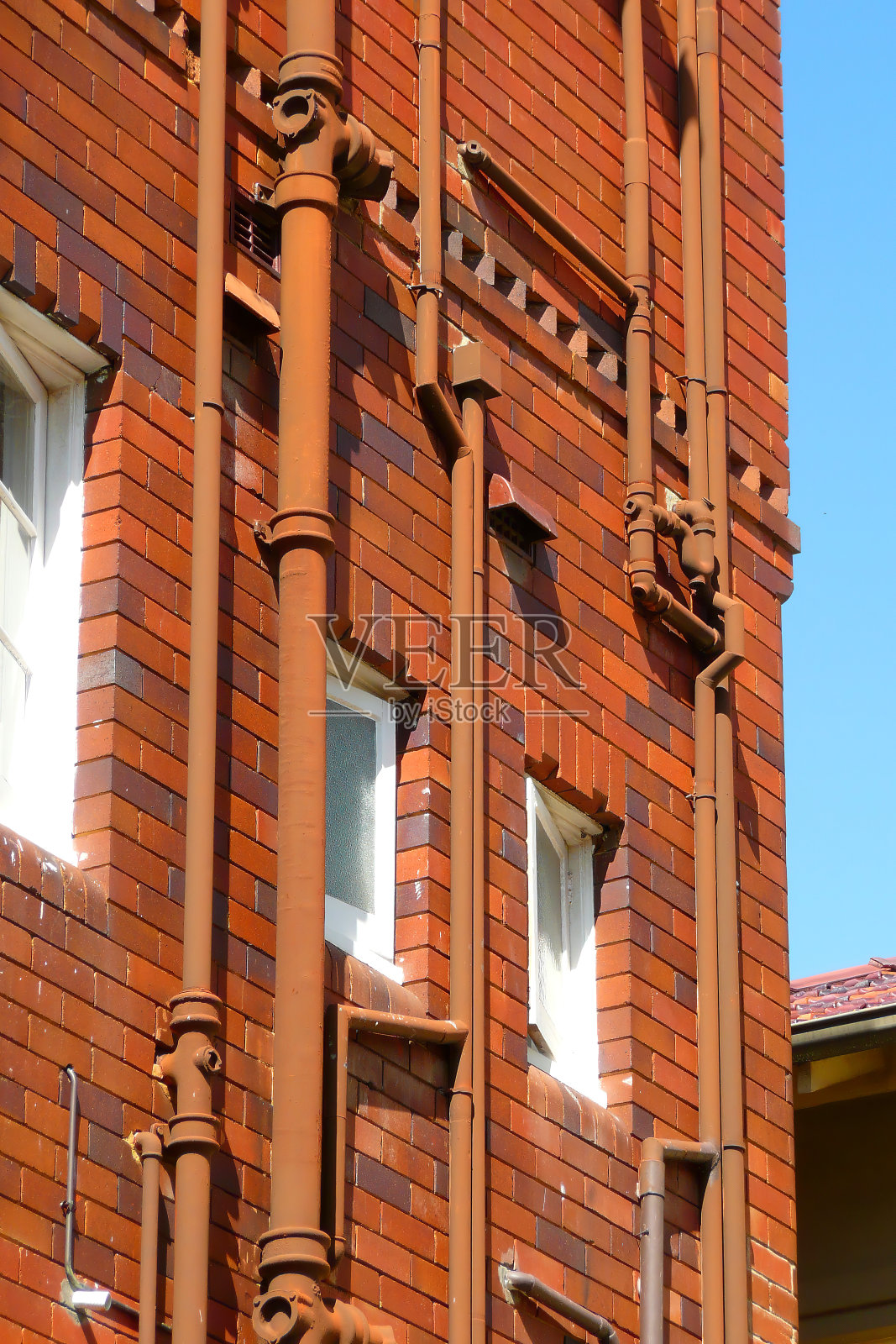 悉尼的建筑照片摄影图片