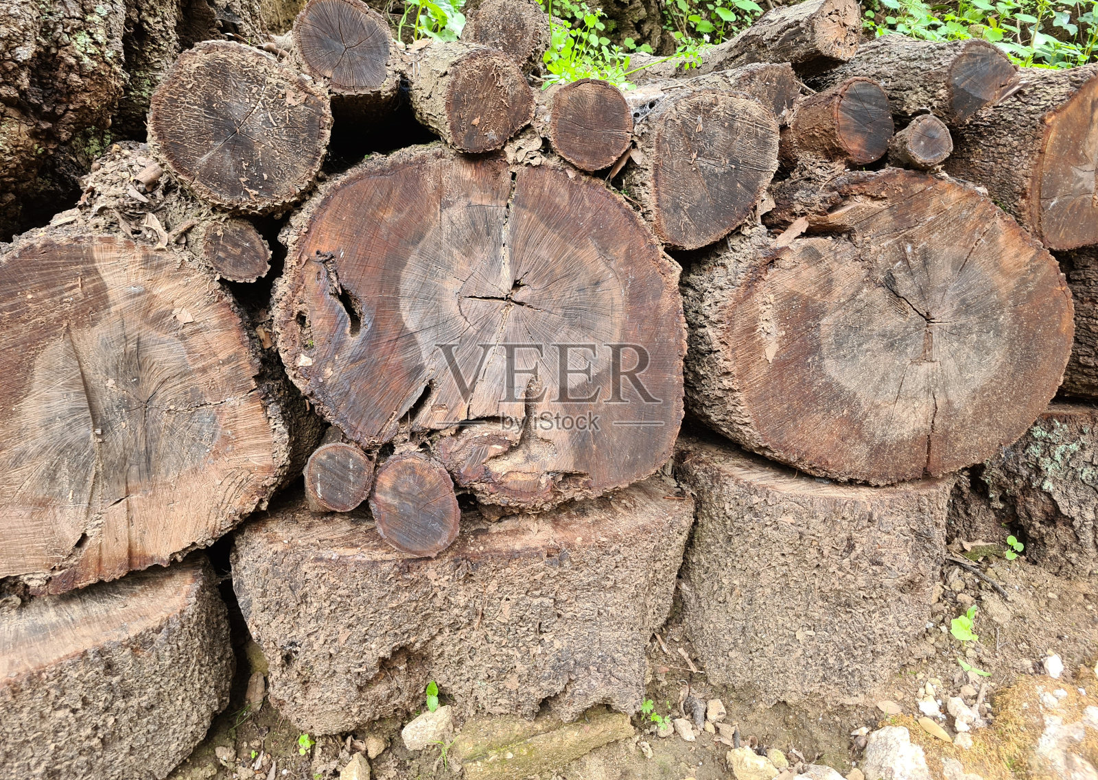 大锯原木的纹理照片摄影图片