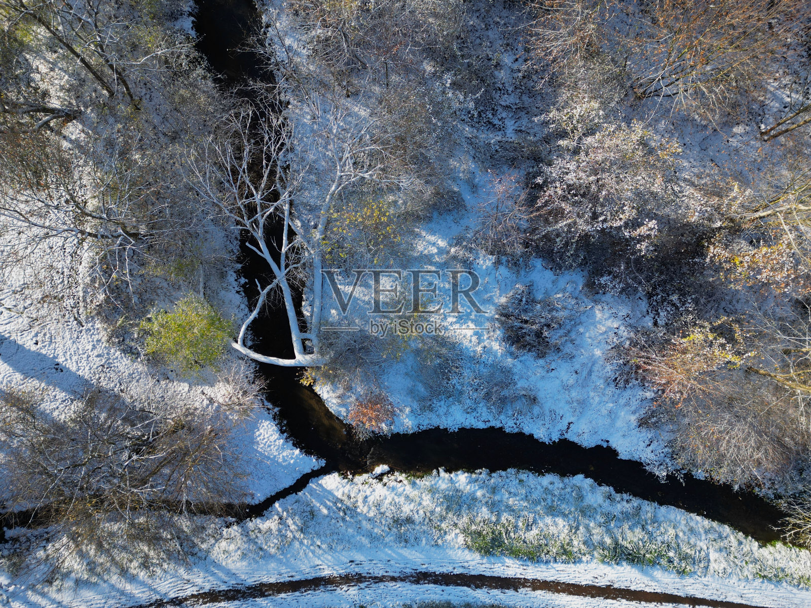 一条小溪和一条大河的汇合处,一棵树枝柳树倒在上面。在积雪融化的洪水期间,河道有堵塞的危险。白雪覆盖的道路照片摄影图片
