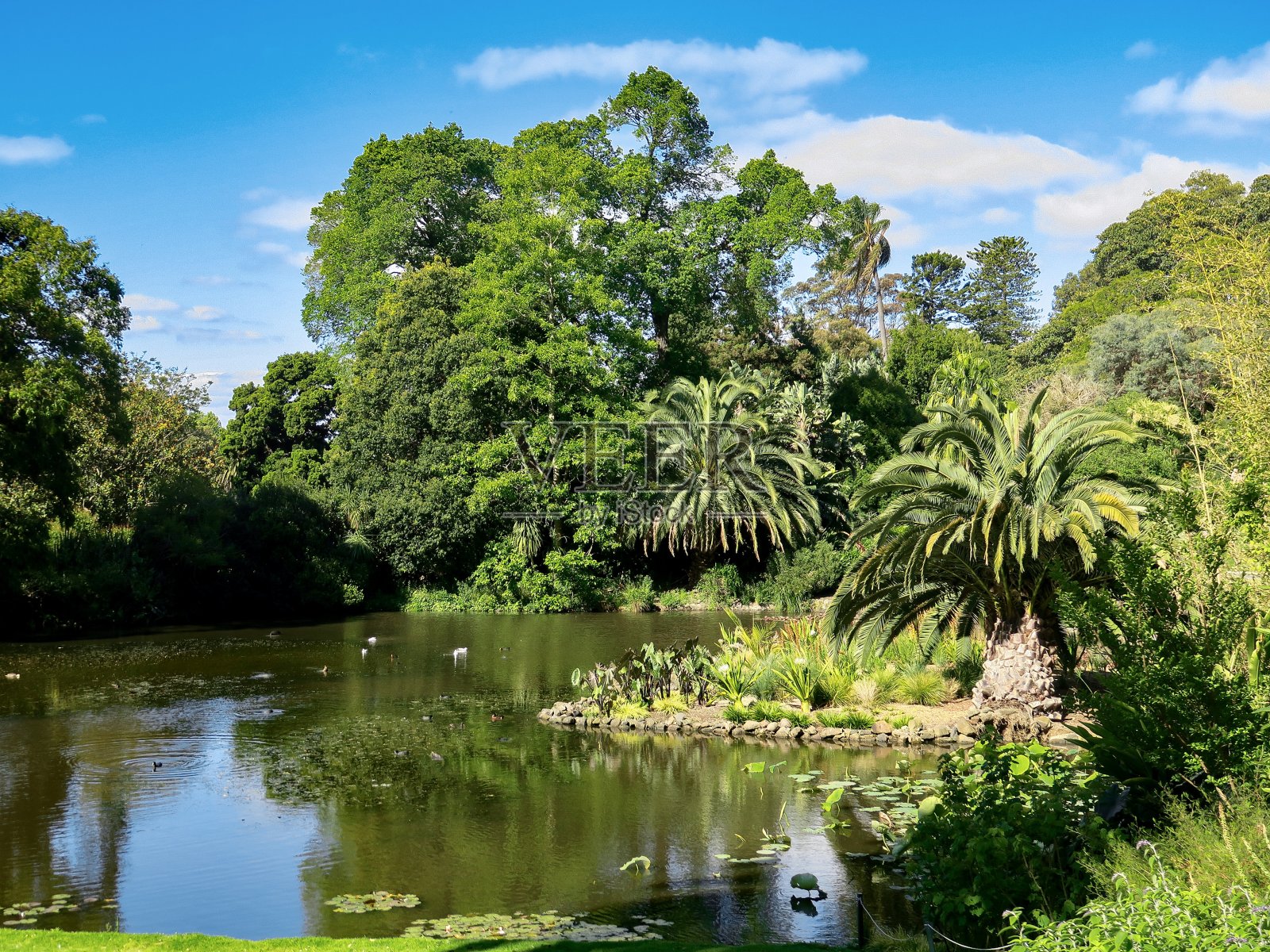 植物园照片摄影图片