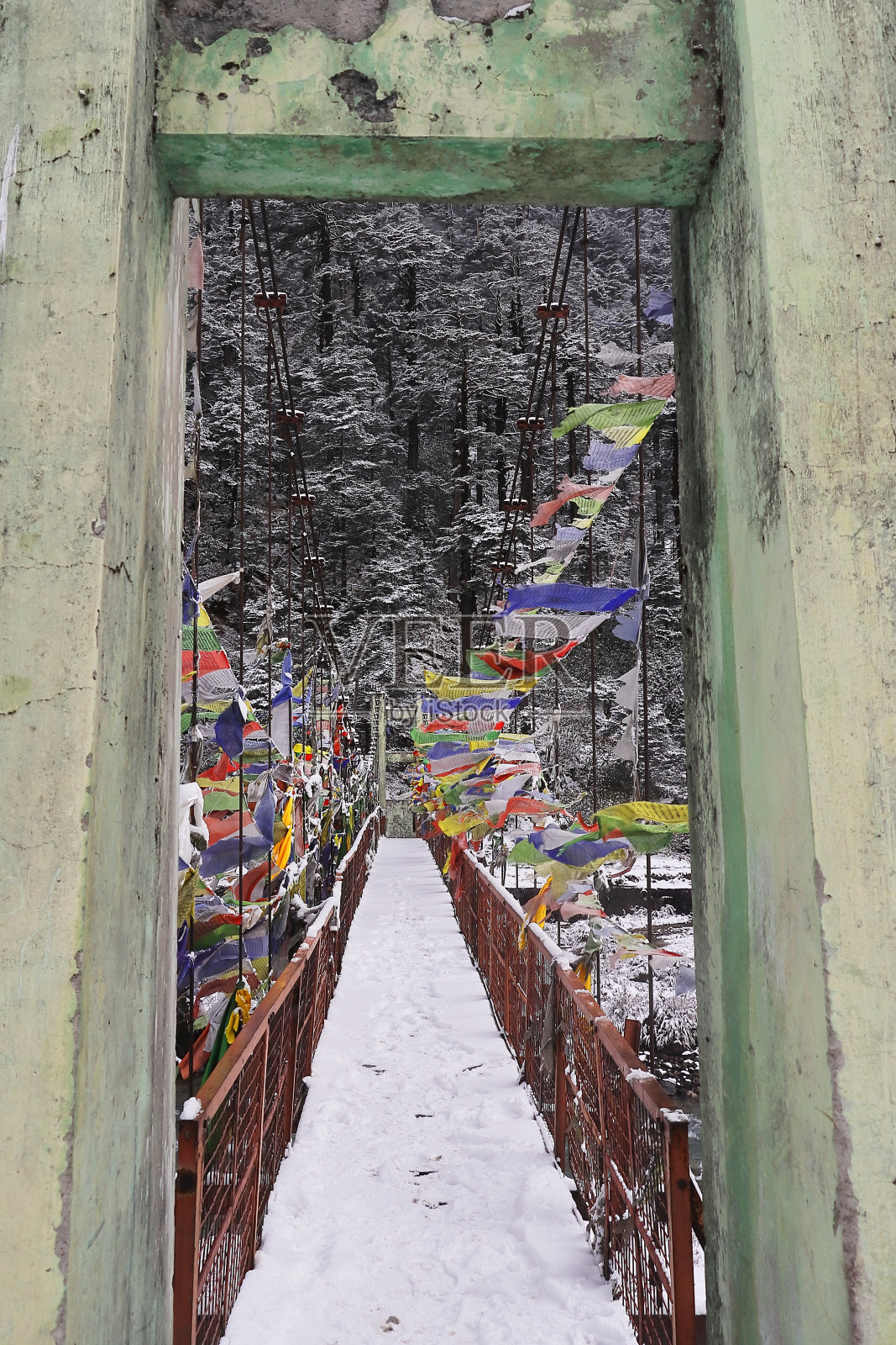 冬天,印度北部锡金,拉昌山站附近的yumthang山谷,拉昌楚河上一座美丽的被雪覆盖的吊桥照片摄影图片