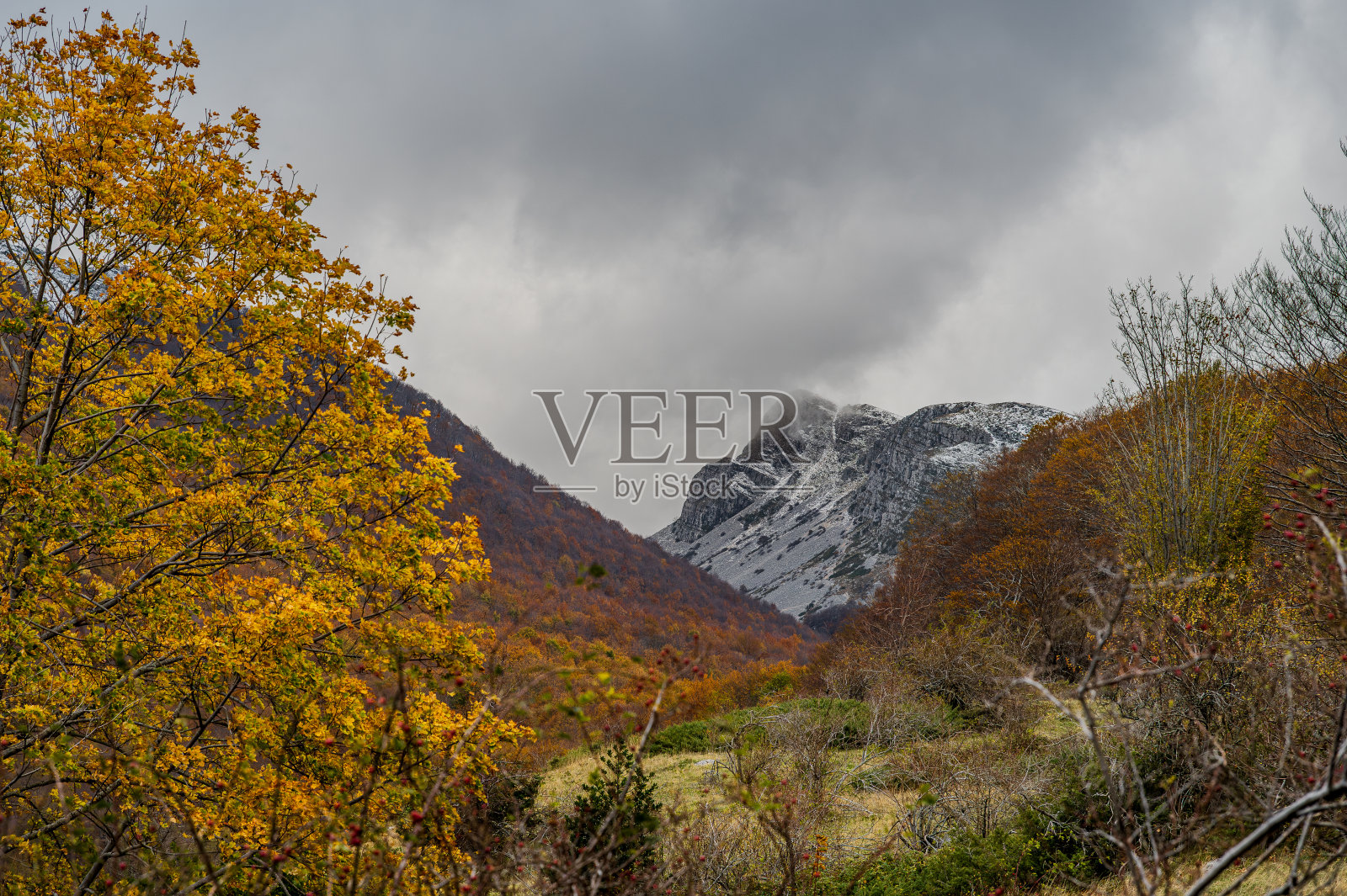 莫利塞Mainarde。秋天的风景。树叶照片摄影图片