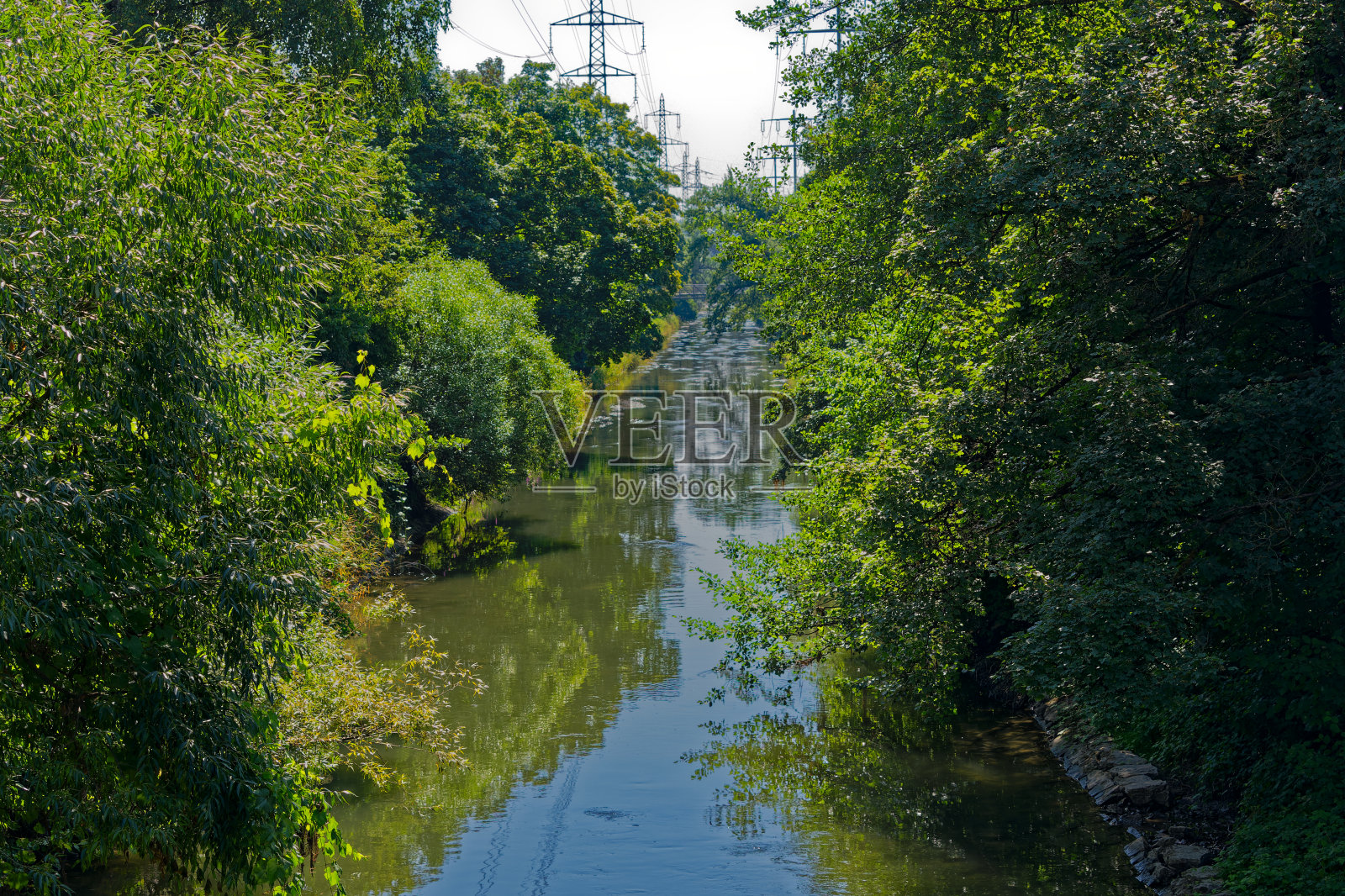 瑞士小镇的河流和苍鹭树景观。照片摄影图片