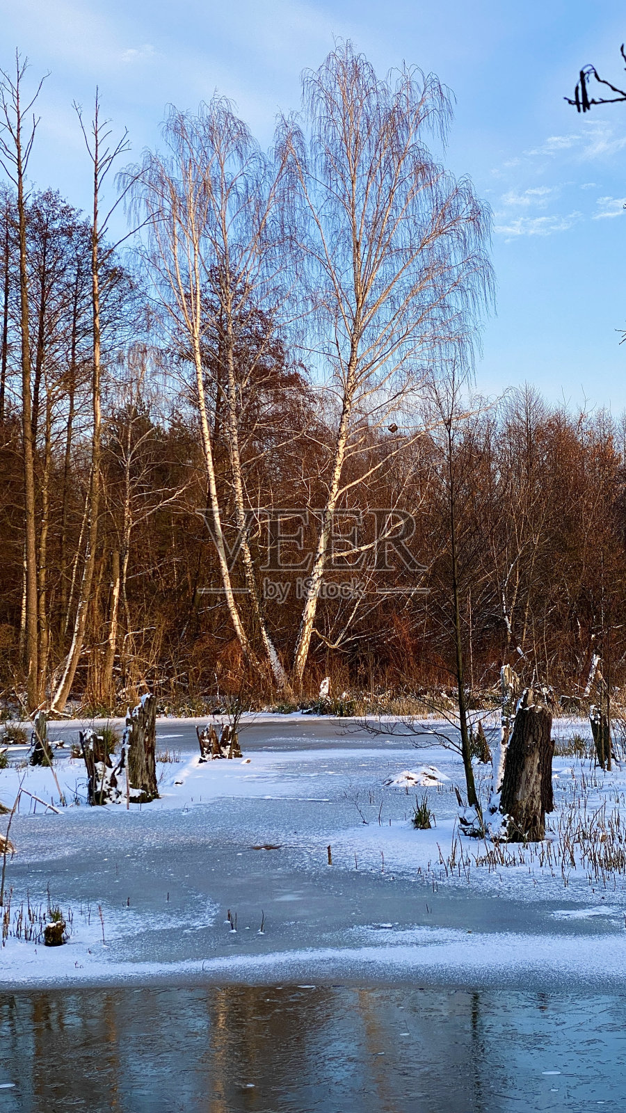 冬天的荒野死水照片摄影图片