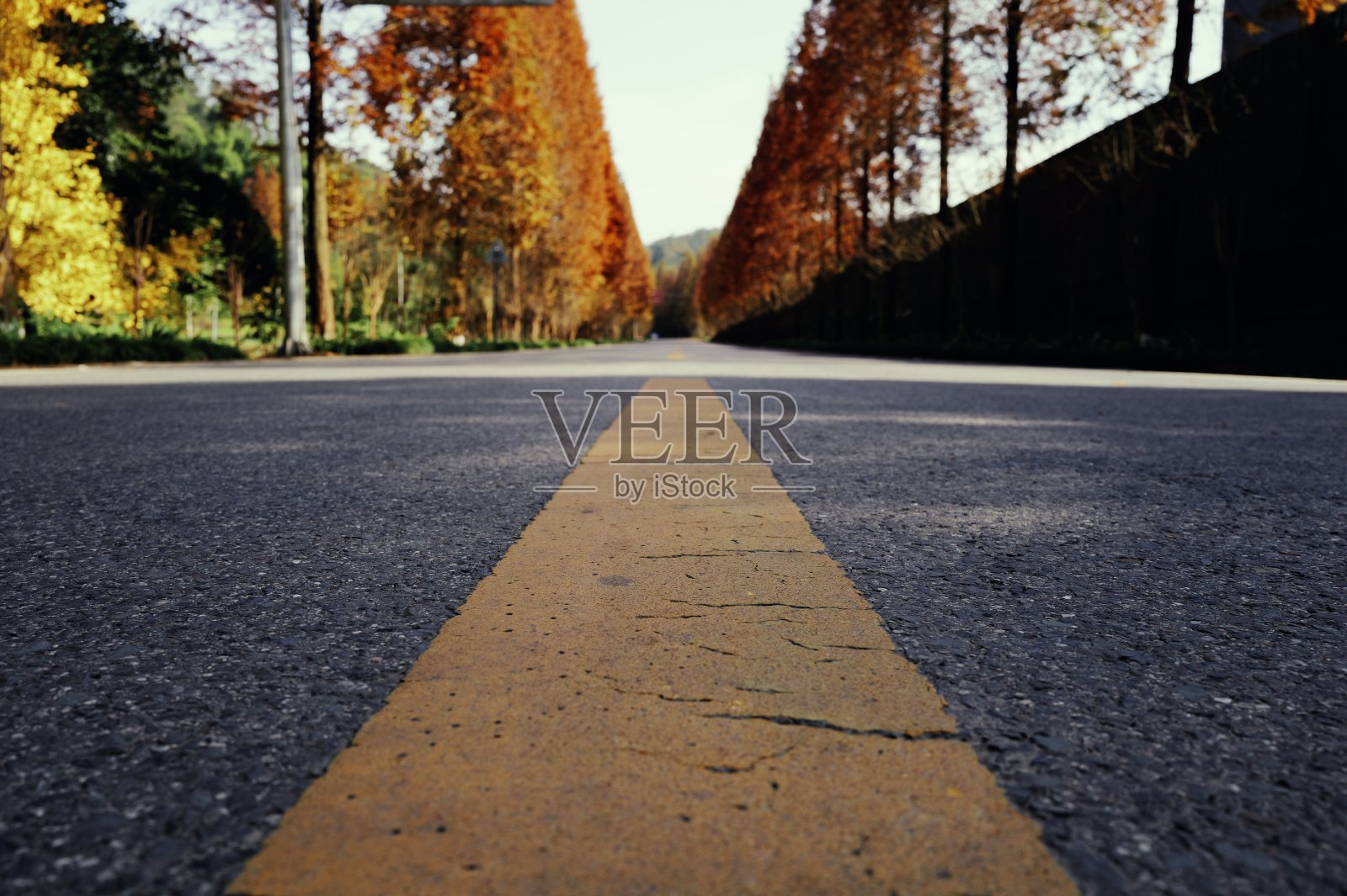 秋季停留:旅途中的路边停留照片摄影图片