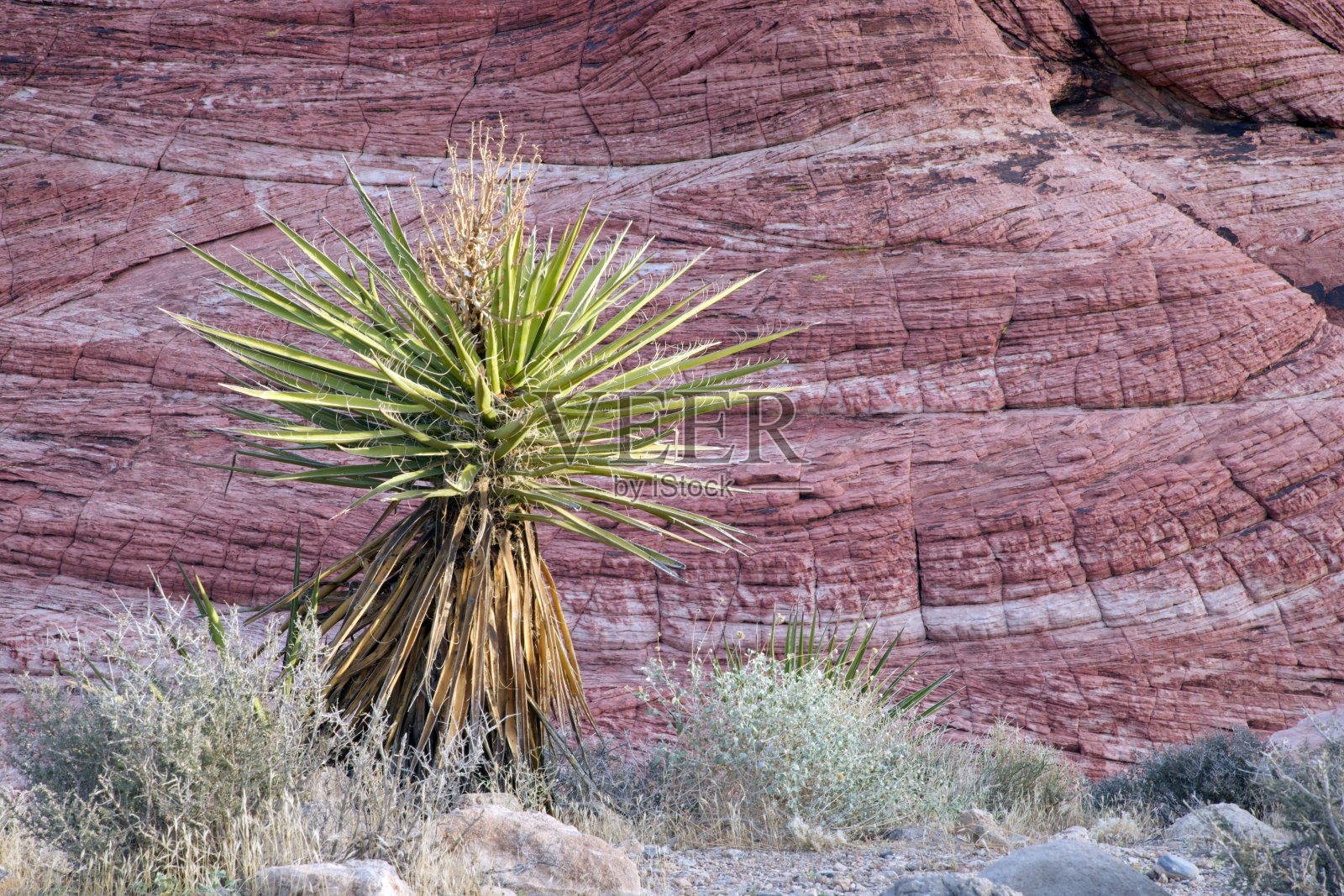 红岩峡谷国家保护区照片摄影图片
