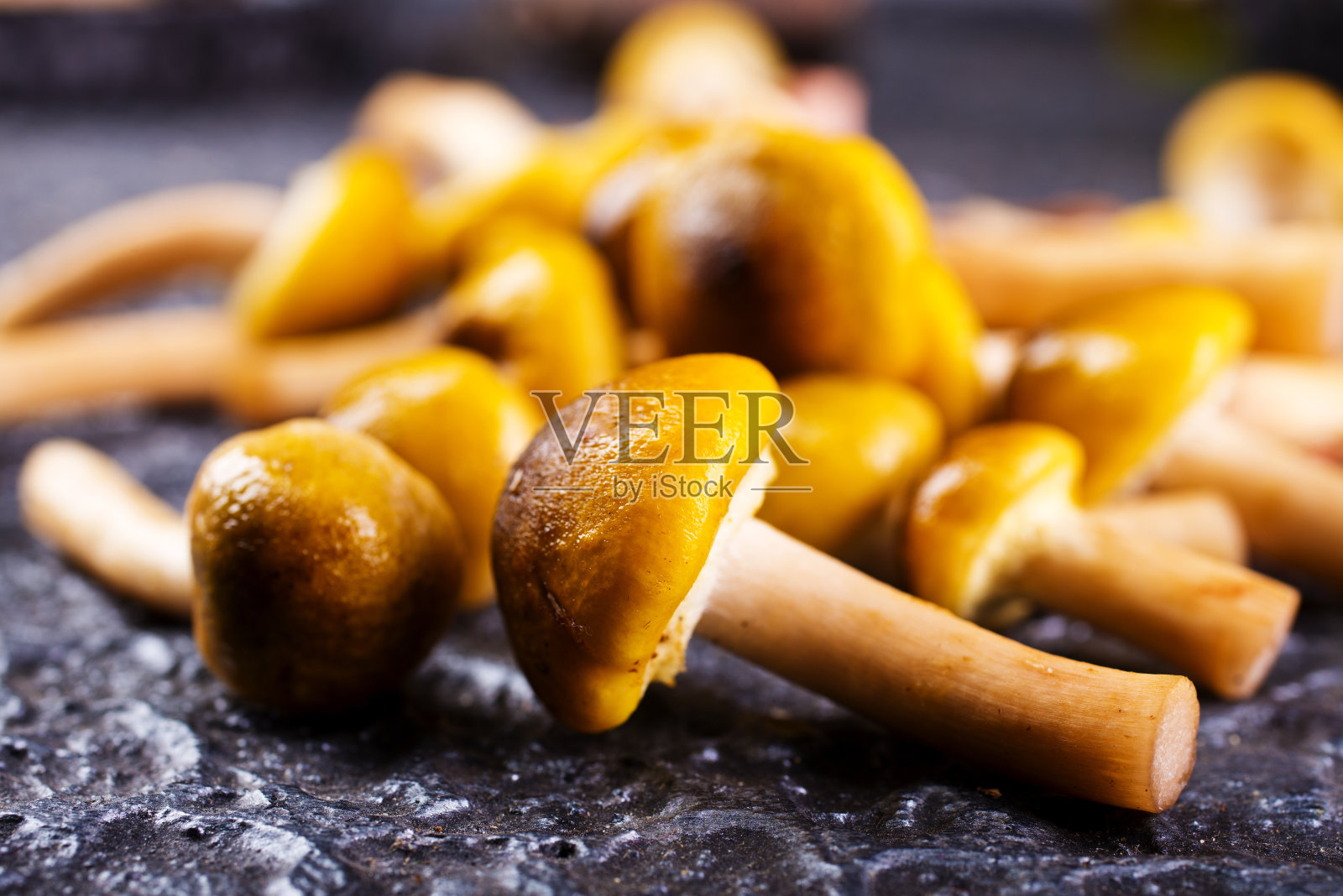 生蘑菇摆在餐桌上,新鲜的蘑菇照片摄影图片