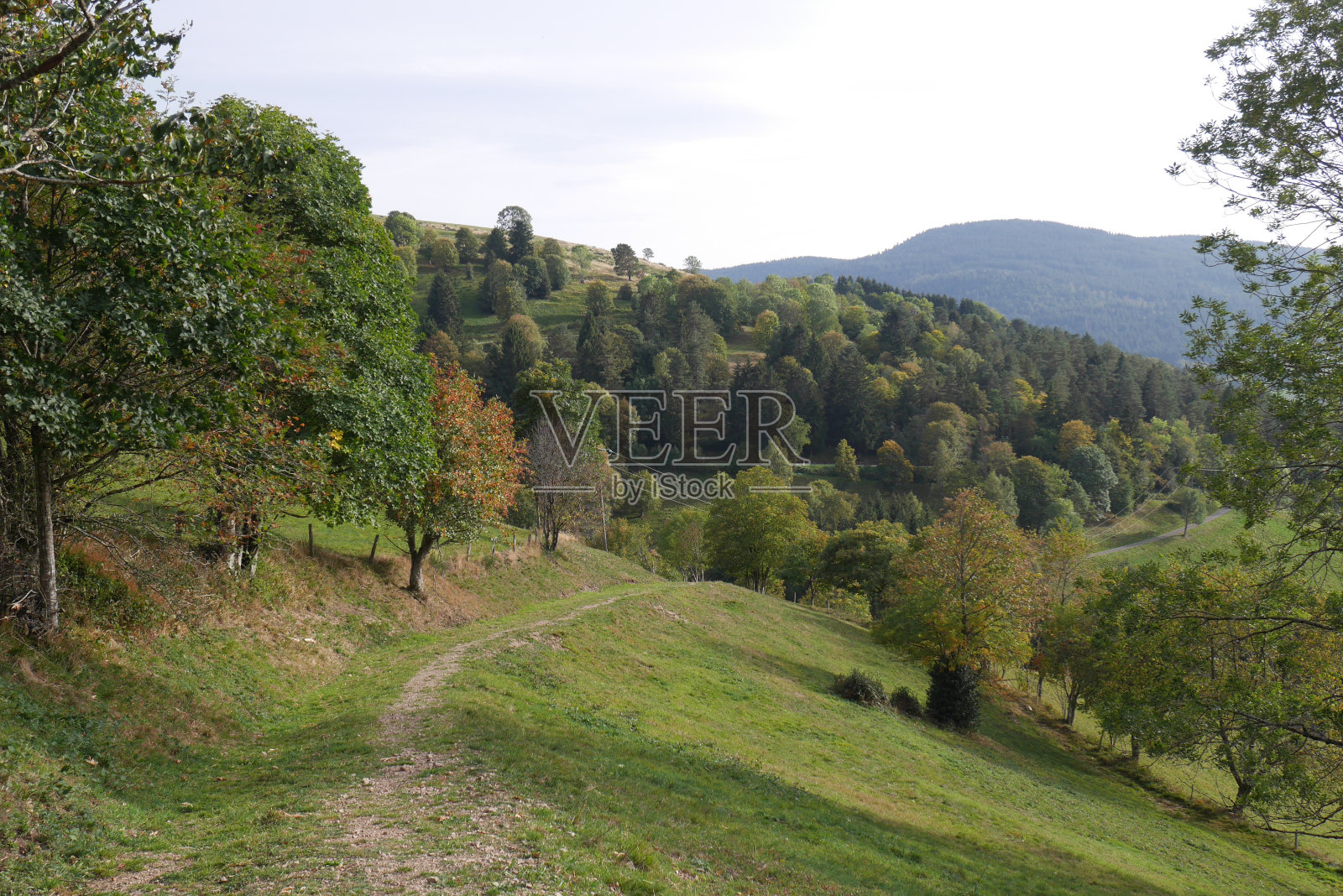孚日山脉的巴格内勒山脉-法国照片摄影图片
