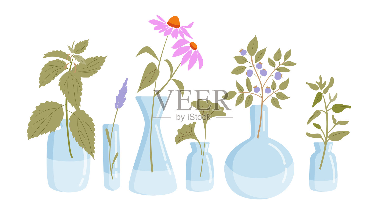 装有草药的玻璃瓶花瓶插画图片素材