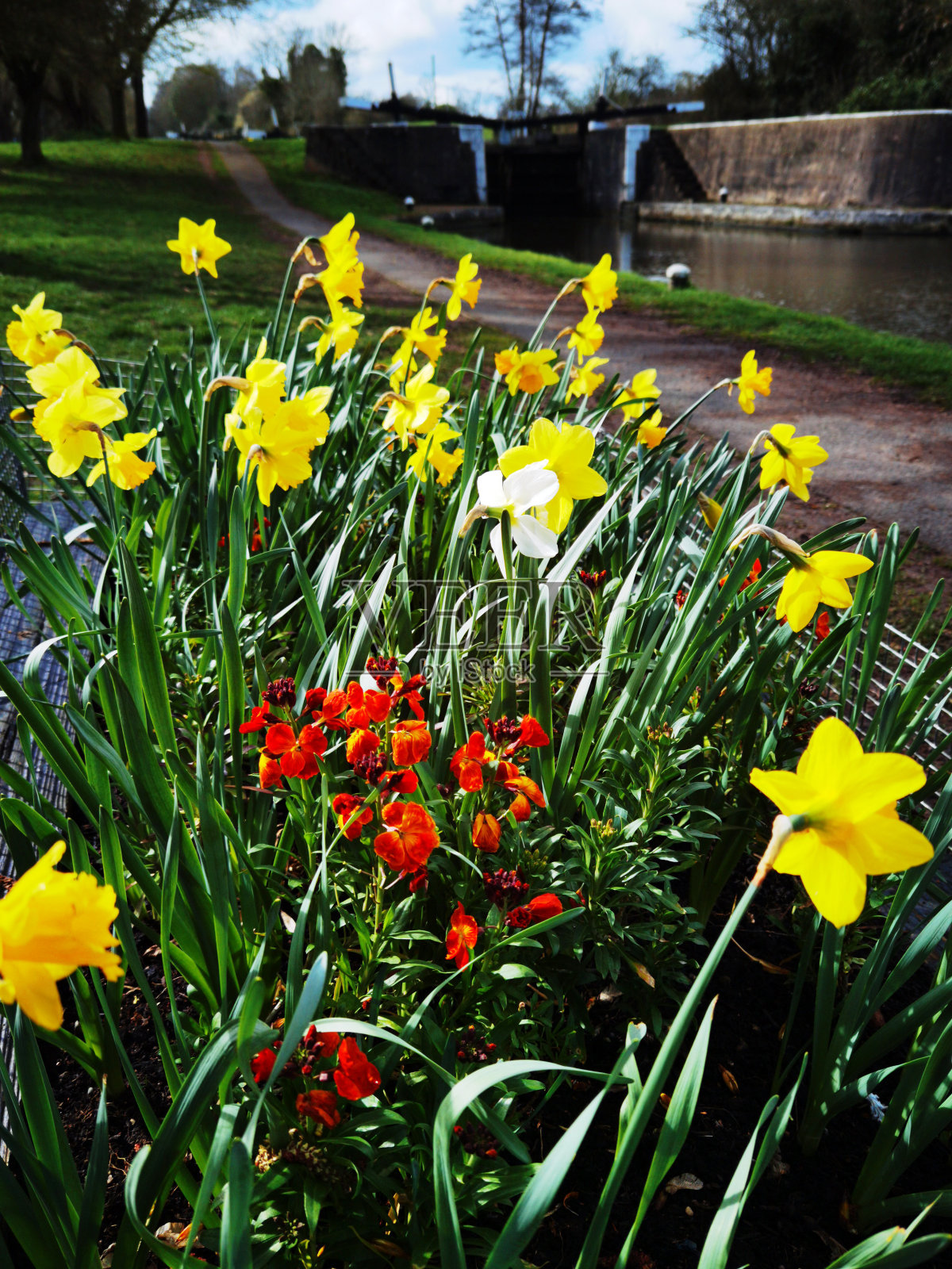 位于英国沃里克郡哈顿洛克斯的大联盟运河照片摄影图片