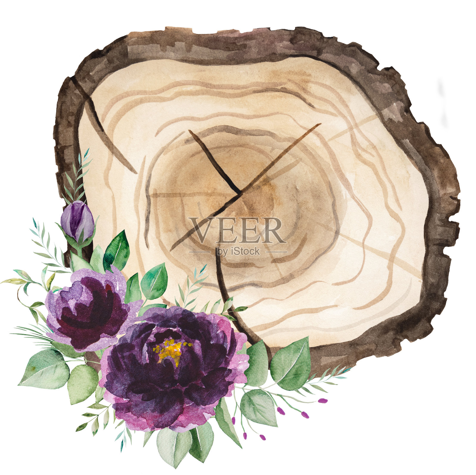 水彩木制圆片与紫色玫瑰花束。孤立插图元件插画图片素材
