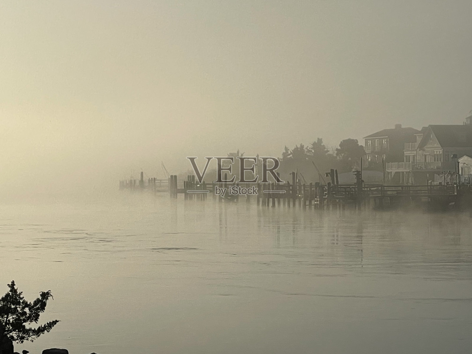晨雾湾照片摄影图片