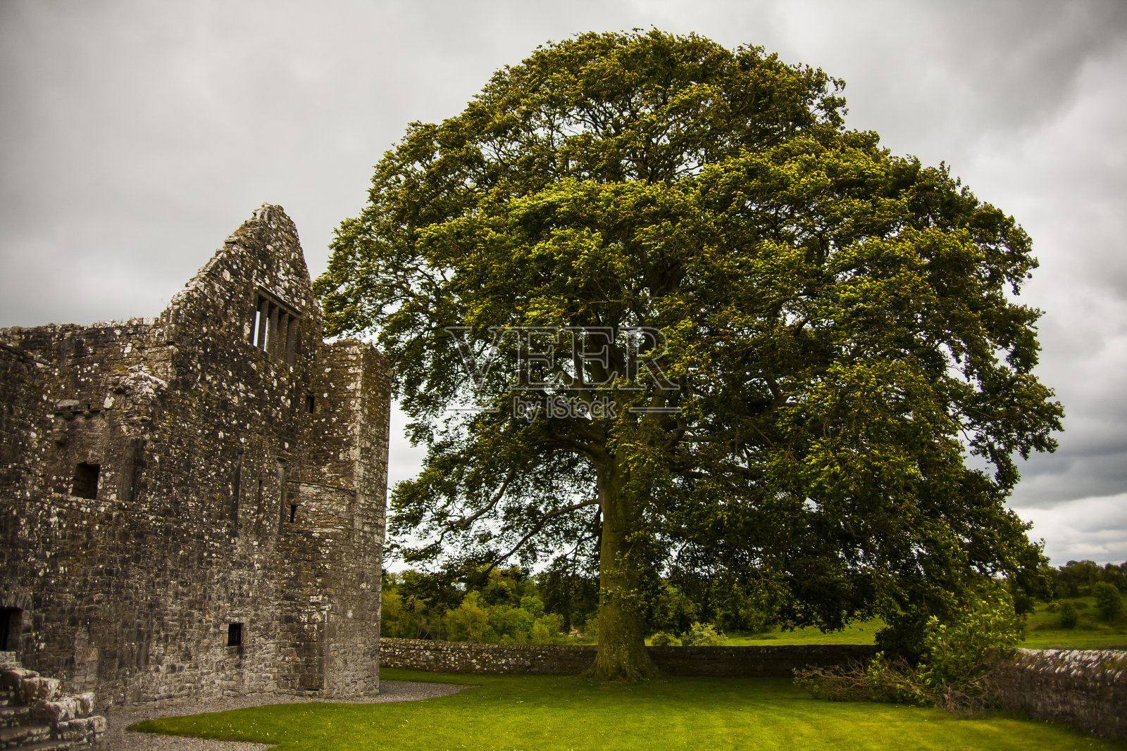 春天在贝克特修道院(Mainistir Bheigti)照片摄影图片