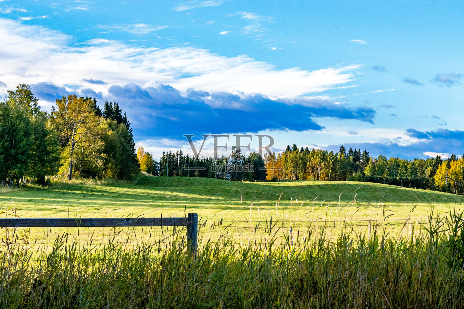 开车穿过加拿大阿尔伯塔省的清水县照片摄影图片
