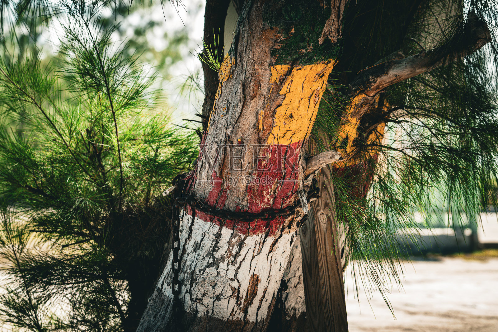 迹象照片摄影图片
