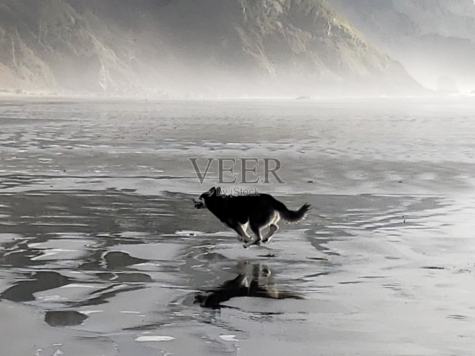 跑的男孩!照片摄影图片