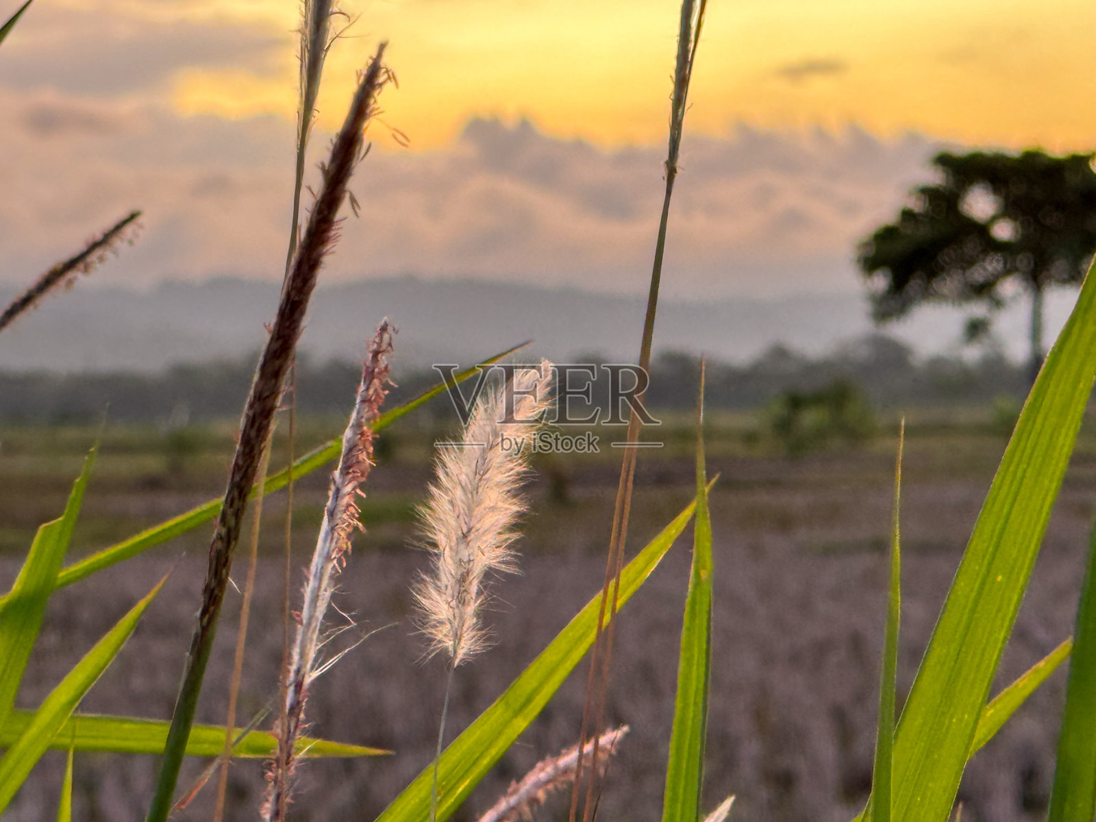 黄昏时的天空是橙色和红色的,有美丽的渐变照片摄影图片