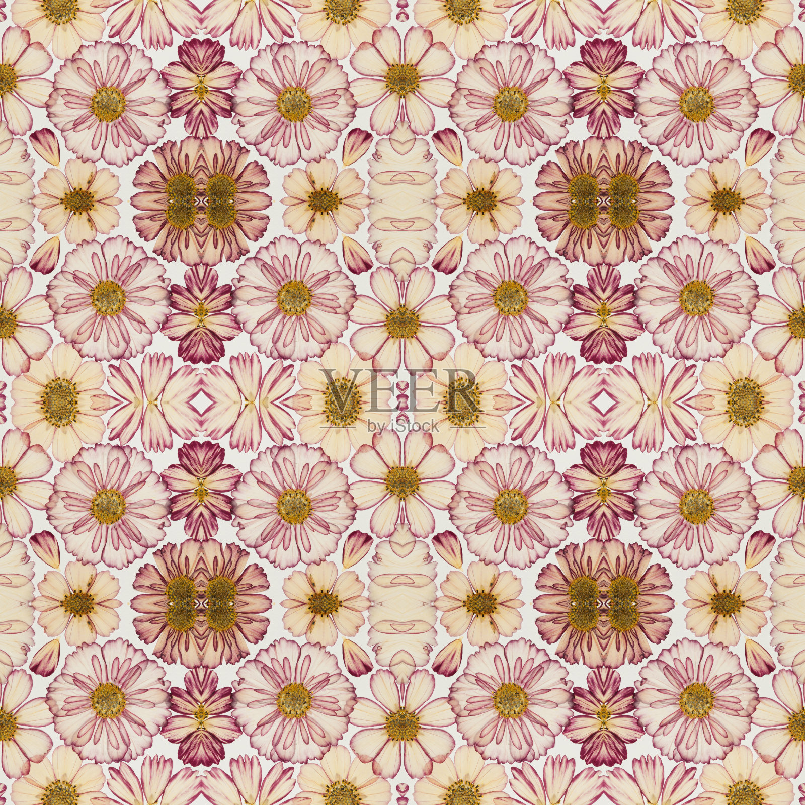 花。无缝模式。点缀。拼贴,宇宙之花的点缀。无缝图案拼贴棉织物。用于网页设计。用于墙纸,t恤,亚麻布或包装,纺织品印刷照片摄影图片