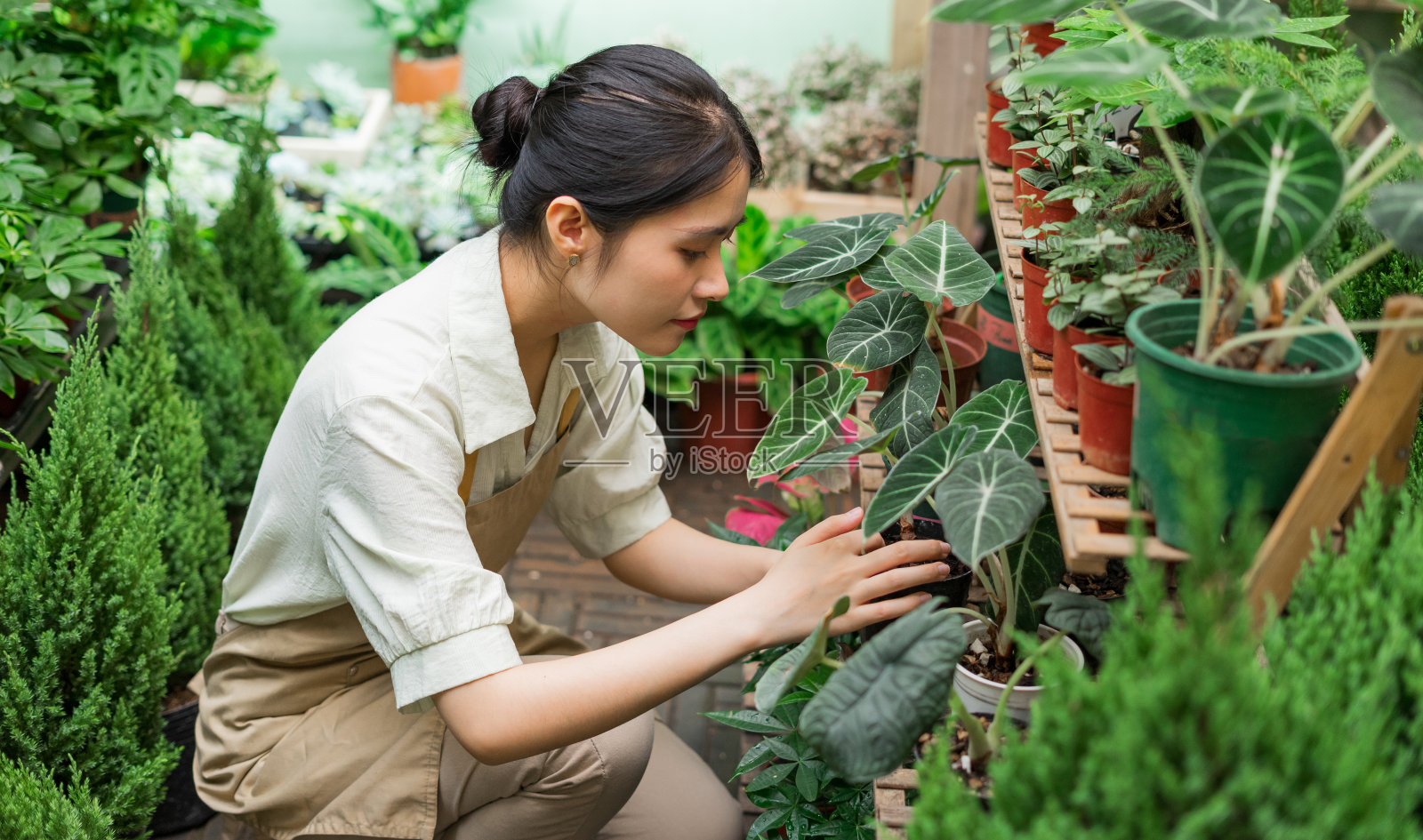 在植物店工作的亚洲妇女的肖像照片摄影图片