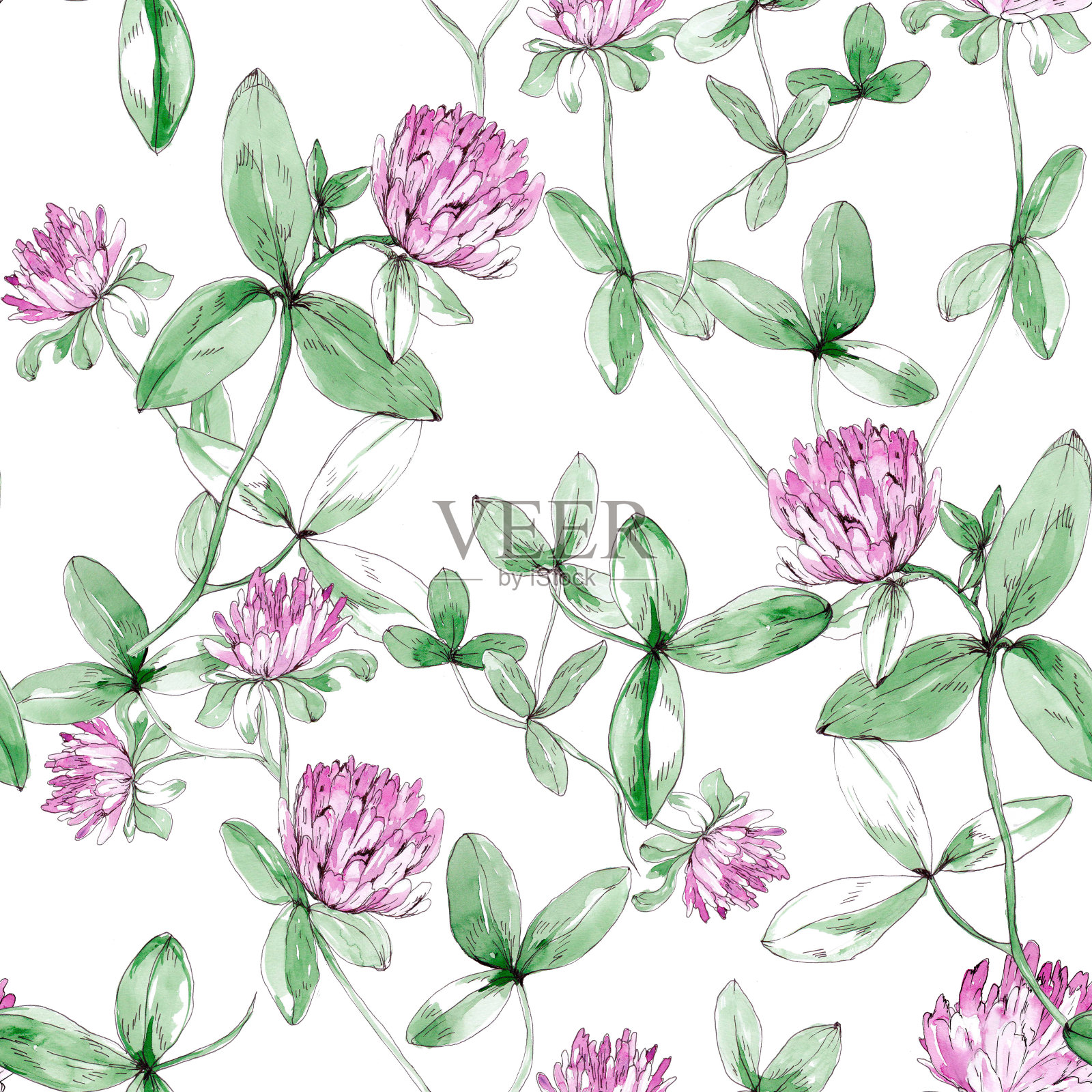 野生三叶草。无缝模式插画图片素材